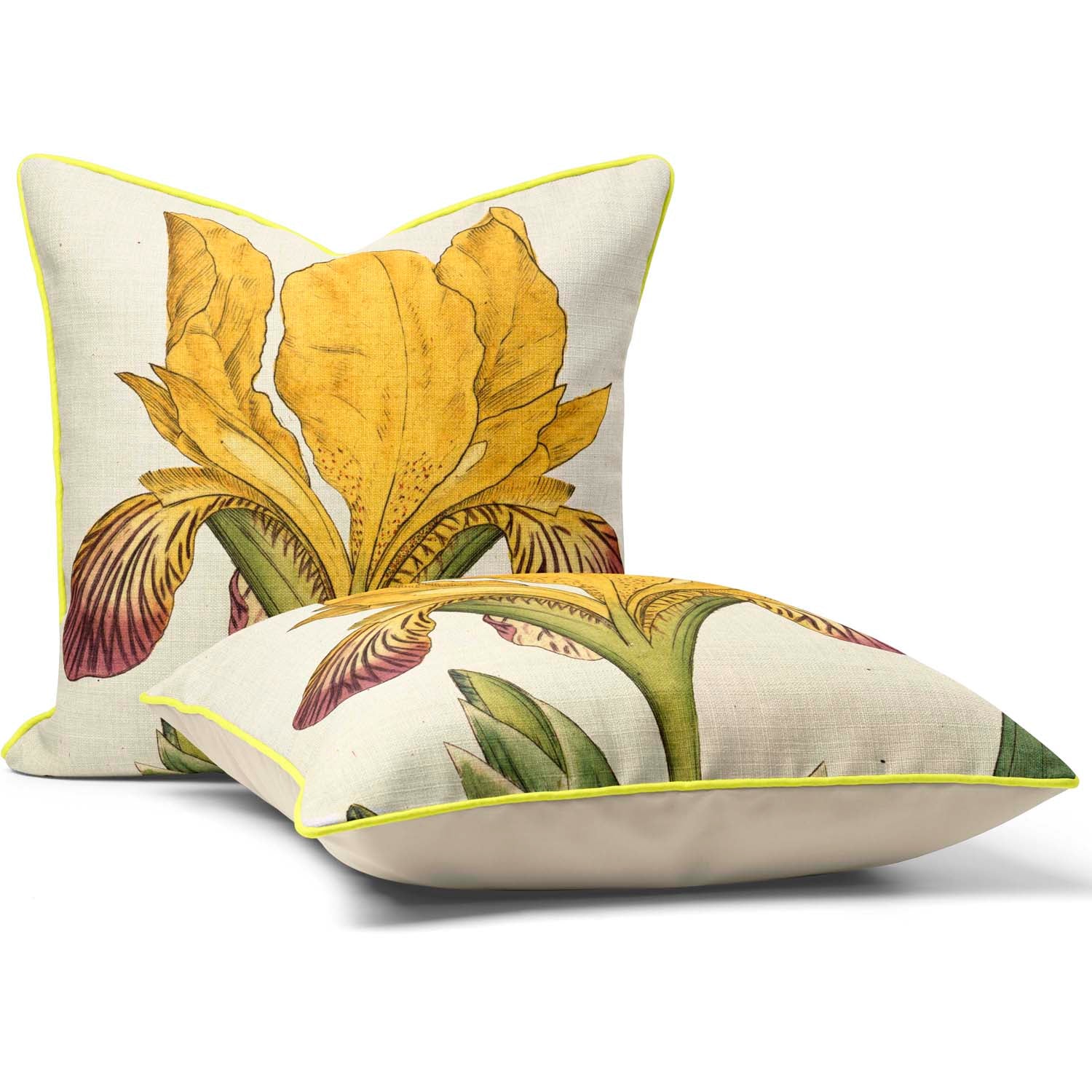 Variegated Iris - Botanical Cushion