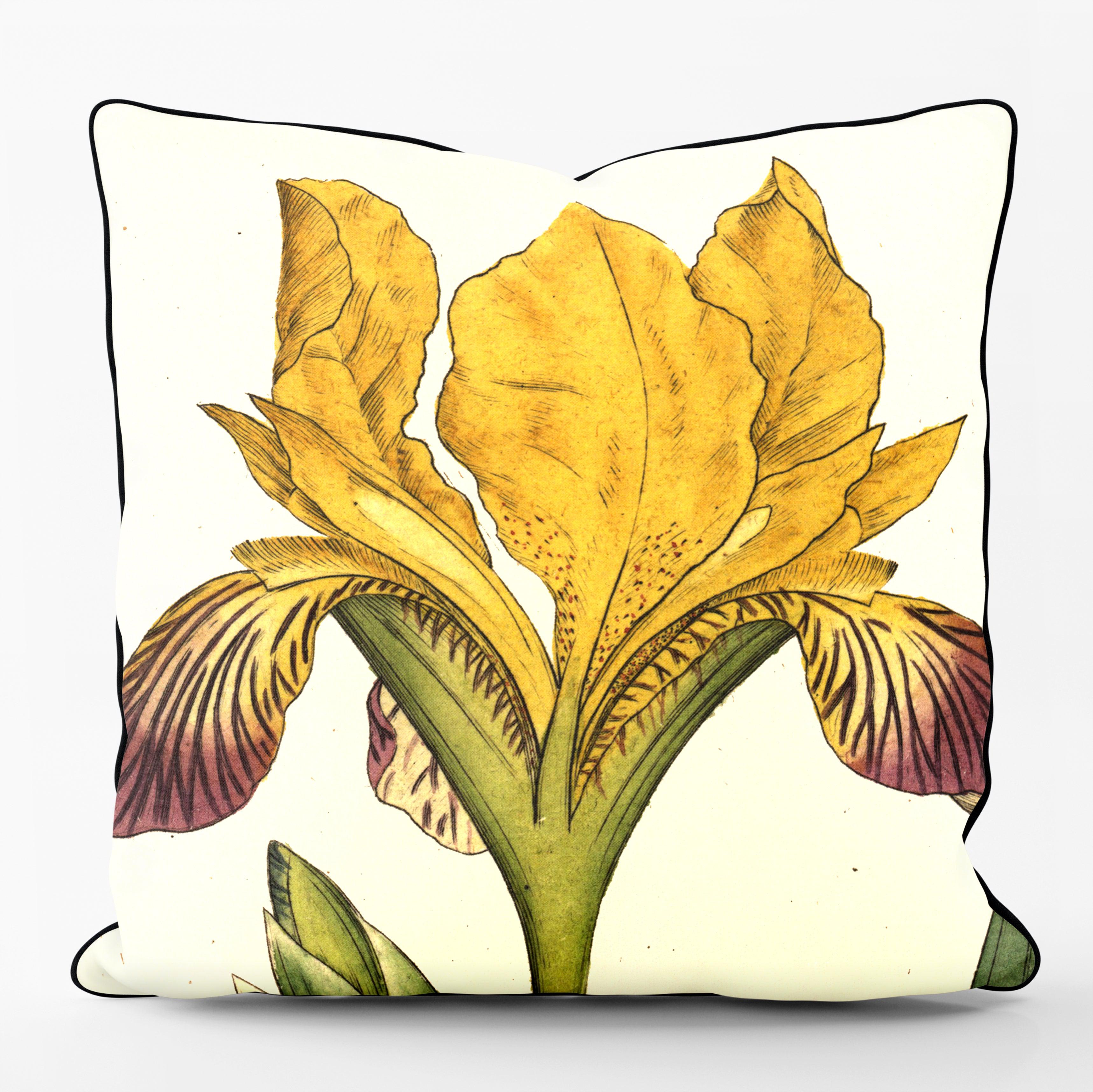 Variegated Iris - Botanical Outdoor Cushion