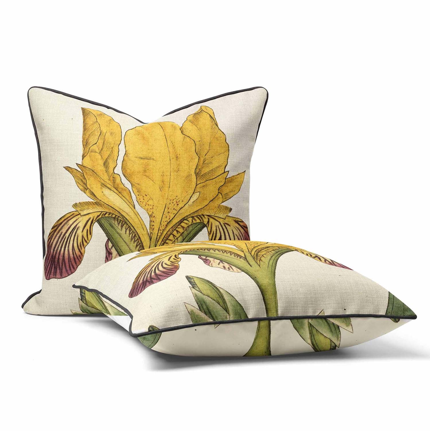 Variegated Iris - Botanical Outdoor Cushion