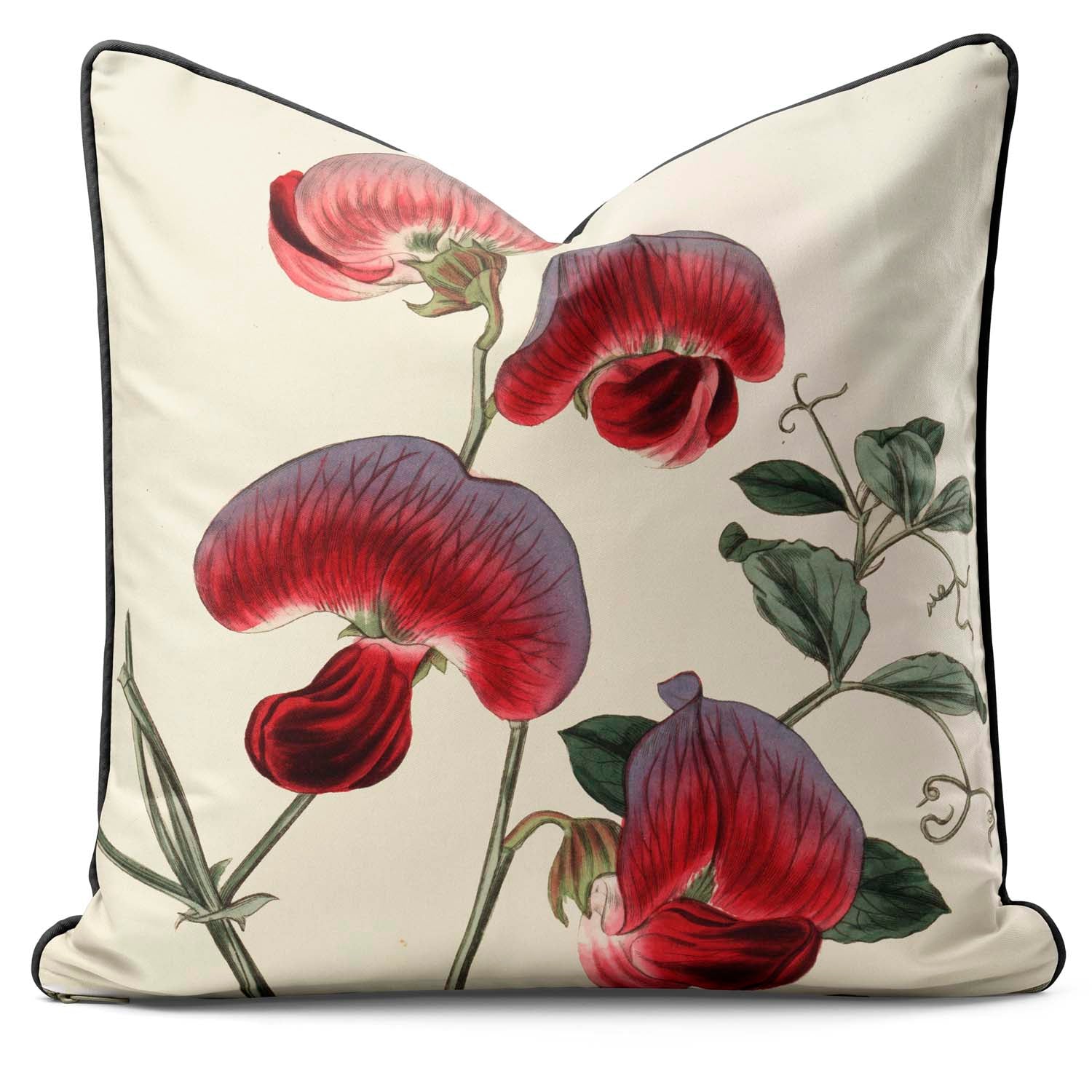 Perennial Sweetpea - Botanical Outdoor Cushion