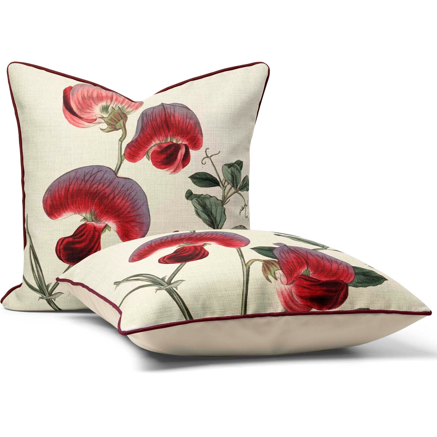 Perennial Sweetpea - Botanical Cushion