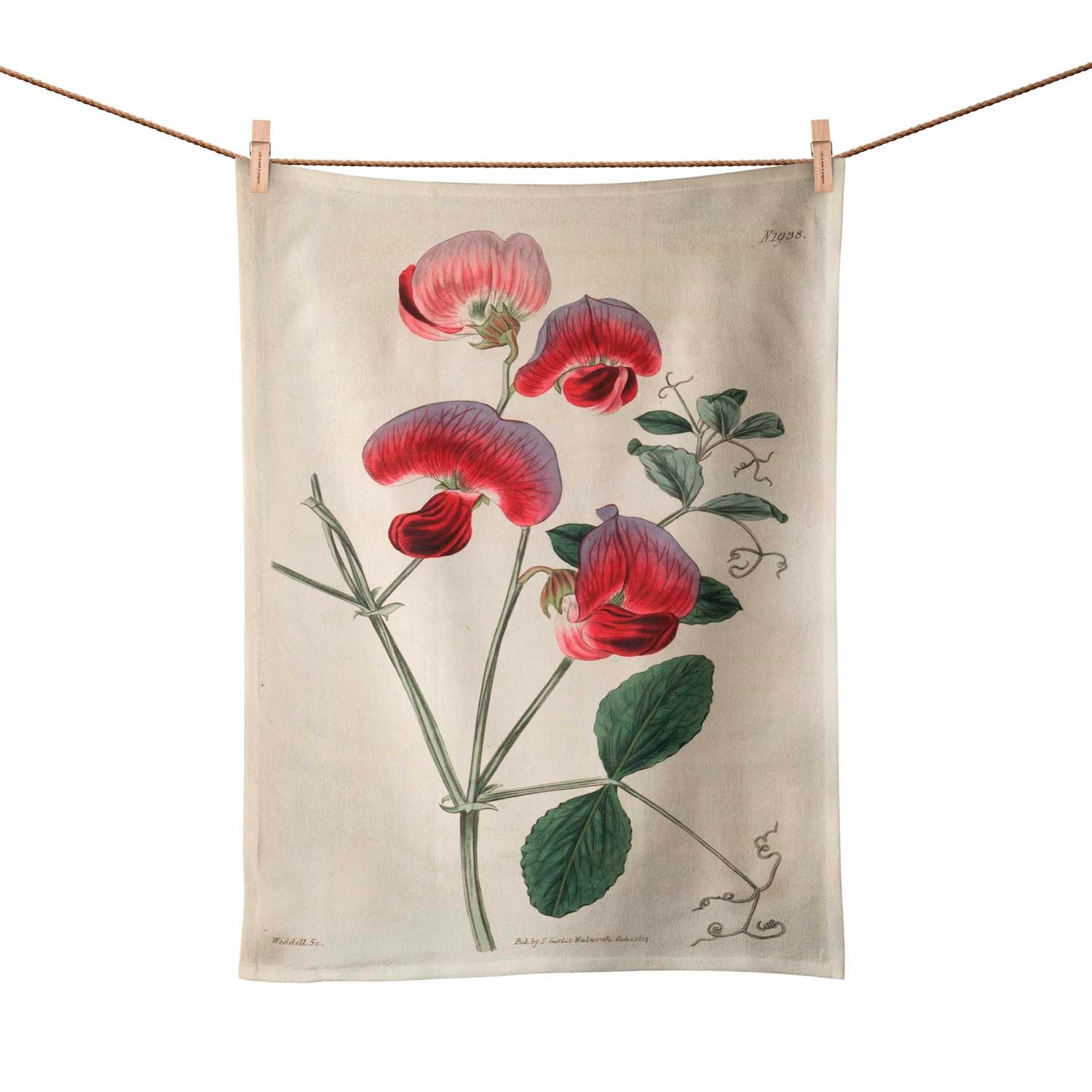 Perennial Sweetpea - Botanical Tea Towel