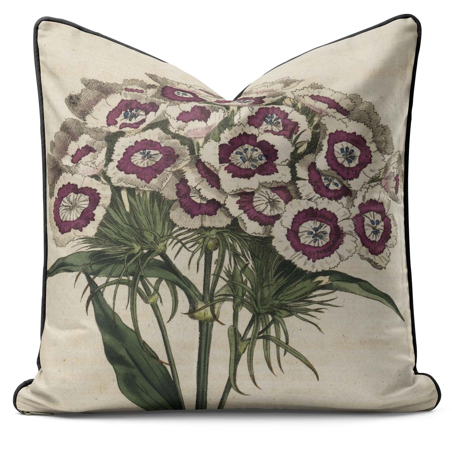 Sweet William - Botanical Outdoor Cushion