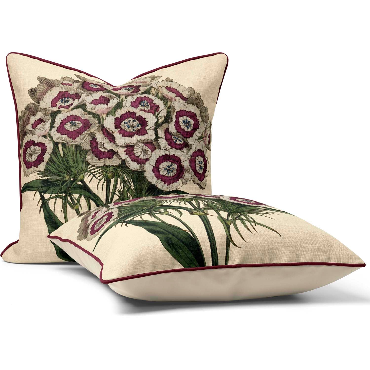 Sweet William - Botanical Cushion