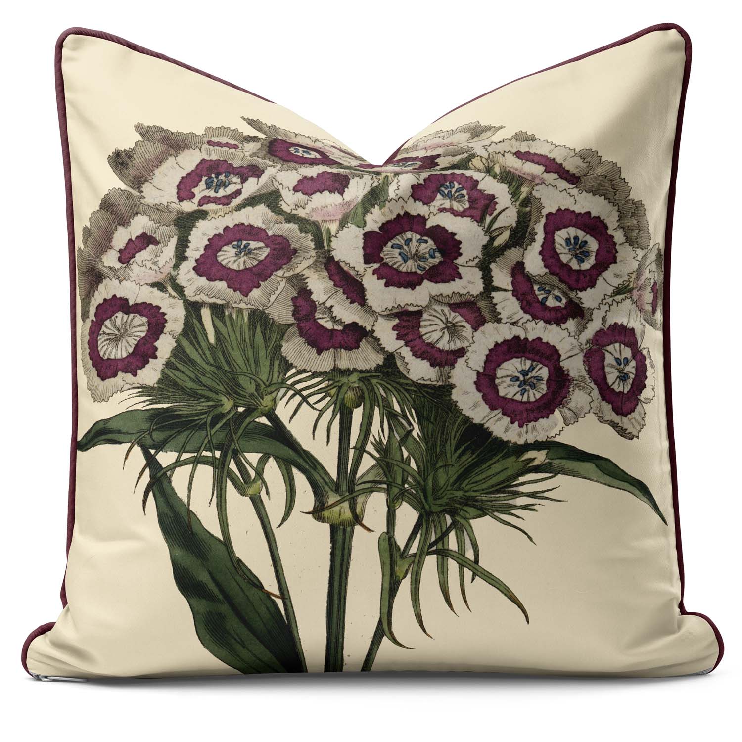 Sweet William - Botanical Cushion