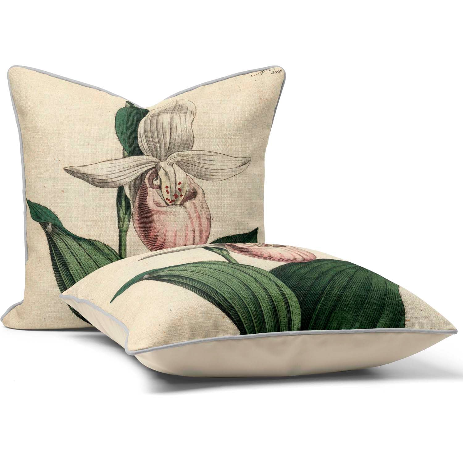 Showy Lady's-slipper - Botanical Cushion