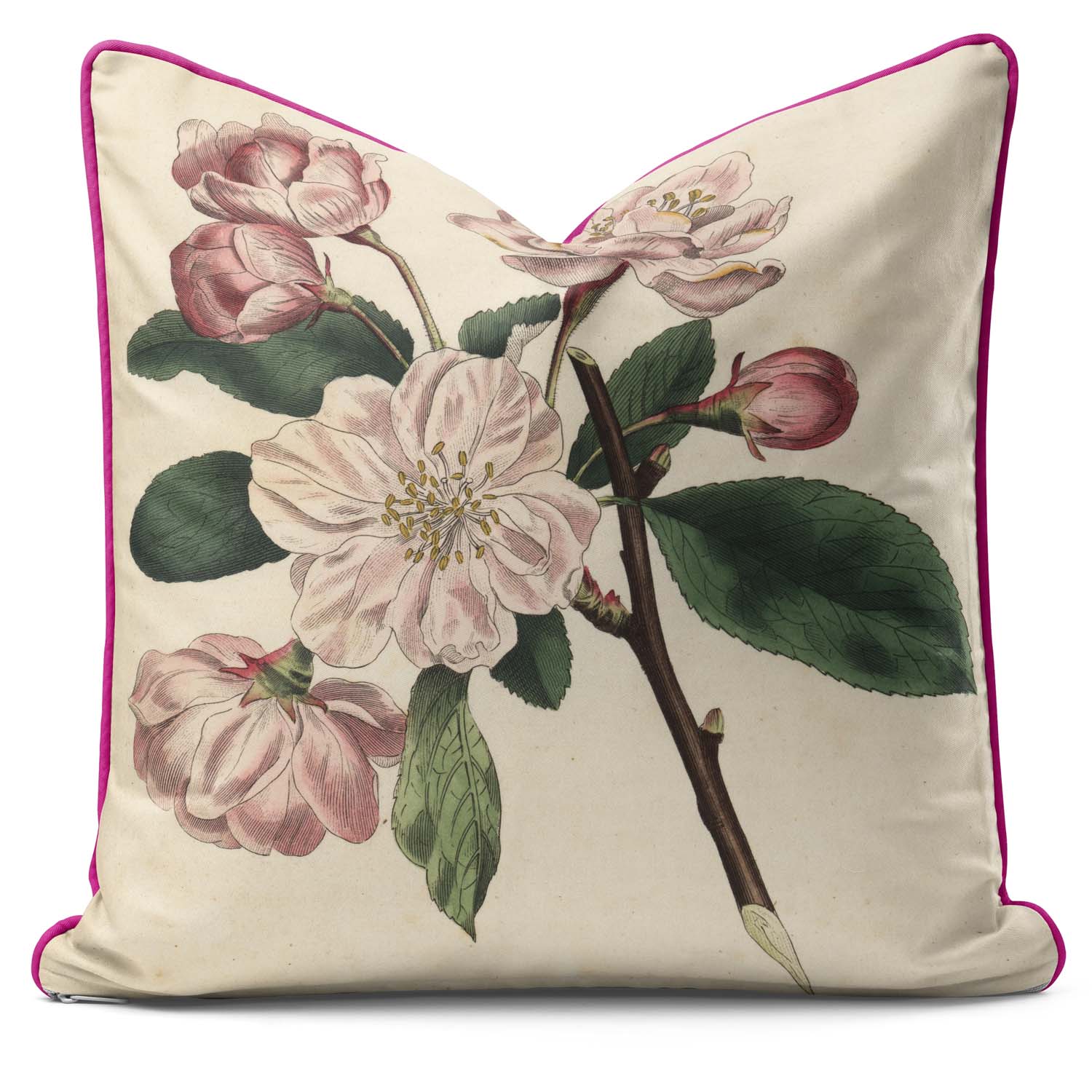 Chinese Flowering Apple Malus - Botanical Cushion