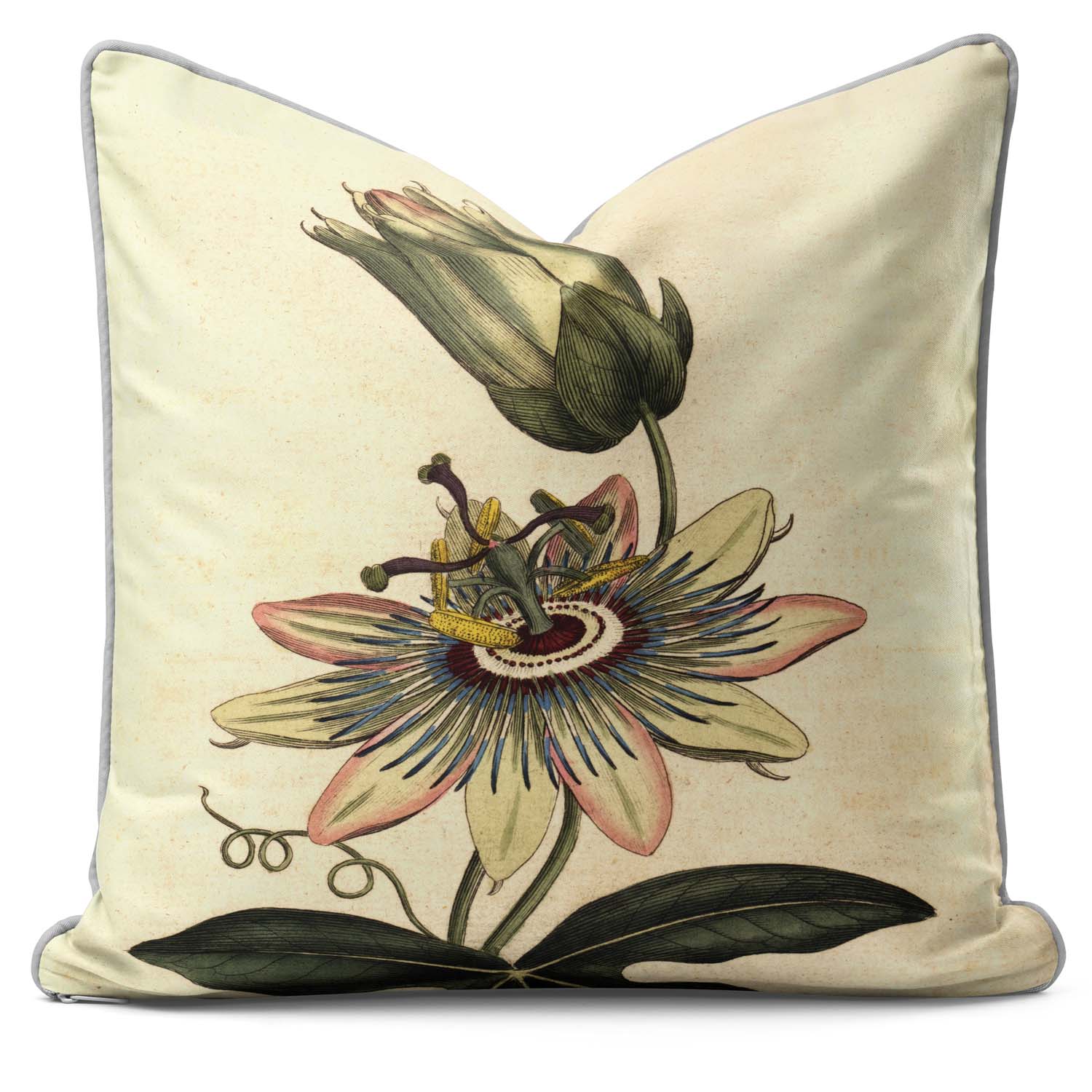 Common Passionflower - Botanical Cushion