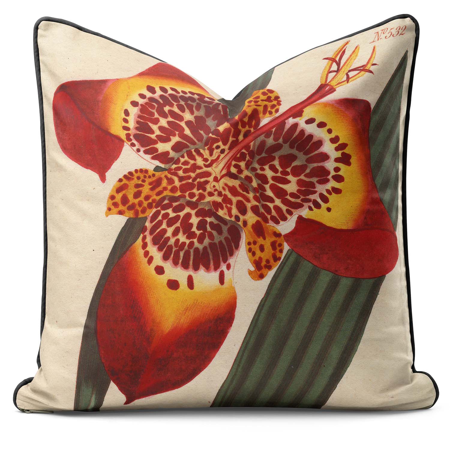 Mexican Iris - Botanical Outdoor Cushion