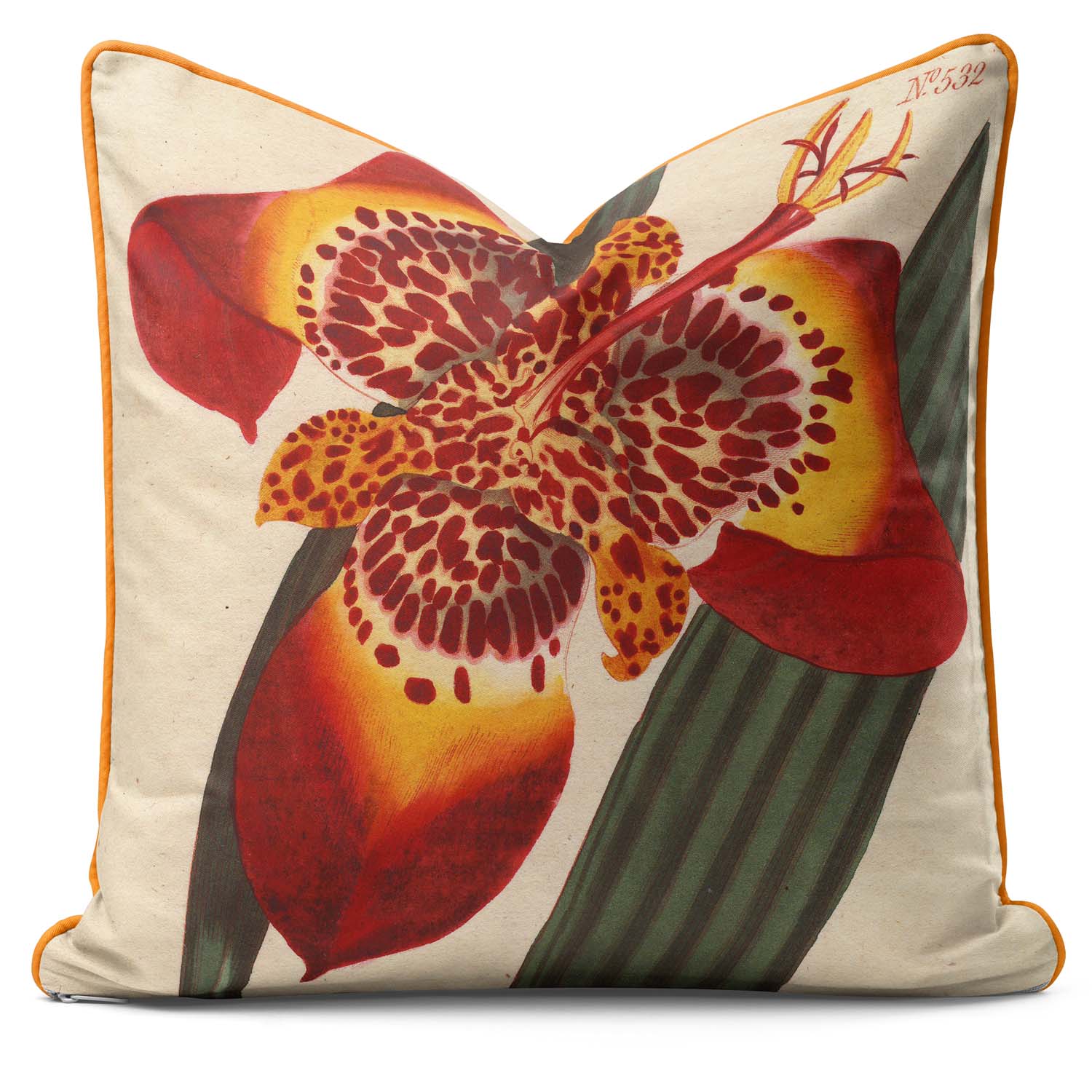 Mexican Iris - Botanical Cushion