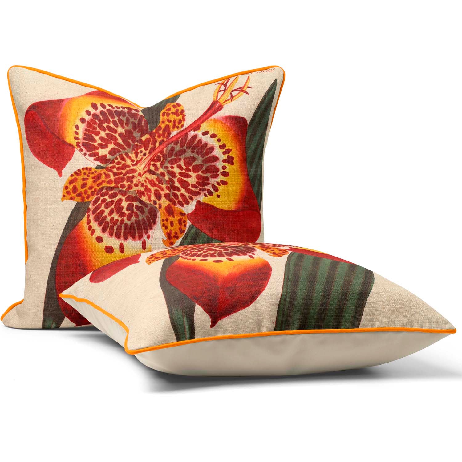 Mexican Iris - Botanical Cushion