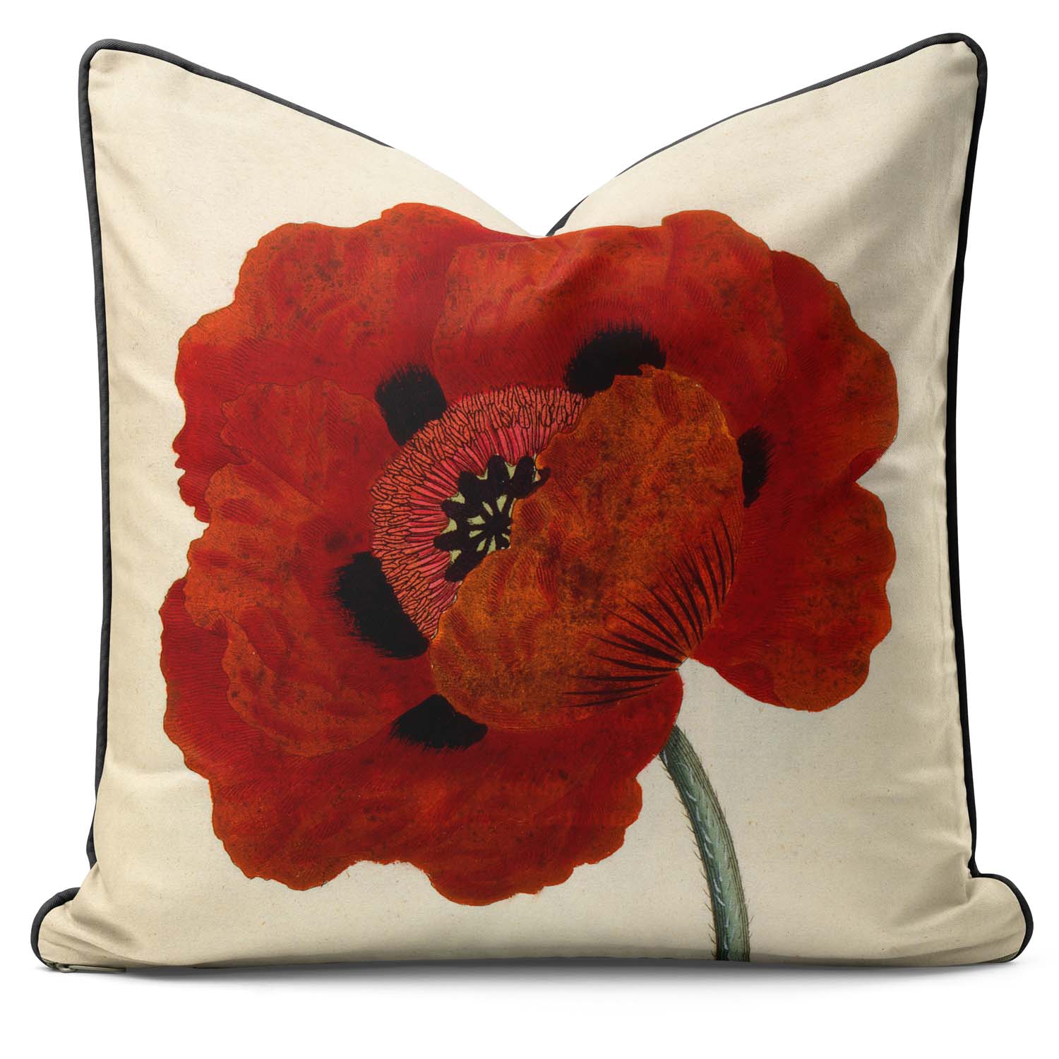 Eastern Poppy - Botanical Outdoor Cushion