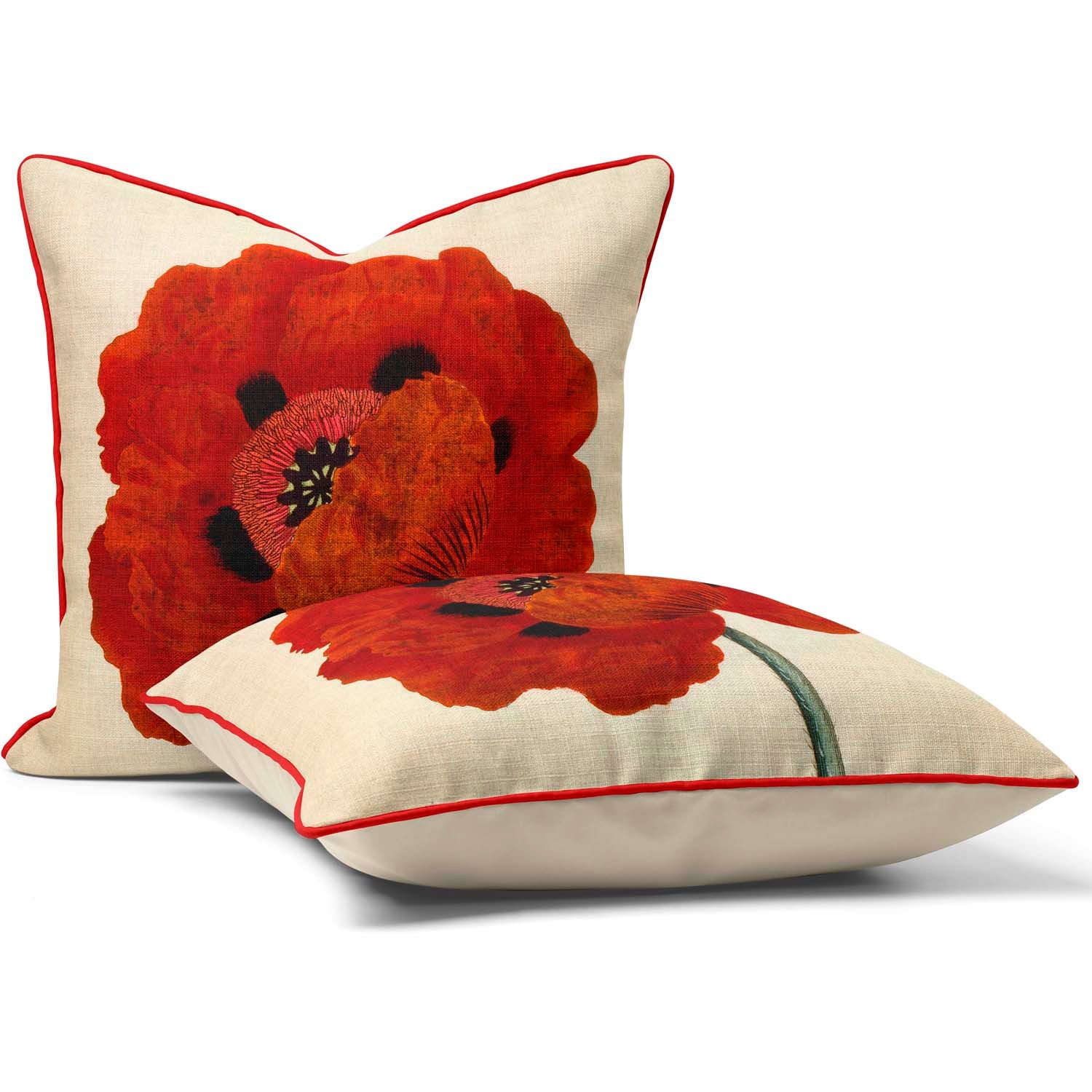 Eastern Poppy - Botanical Cushion