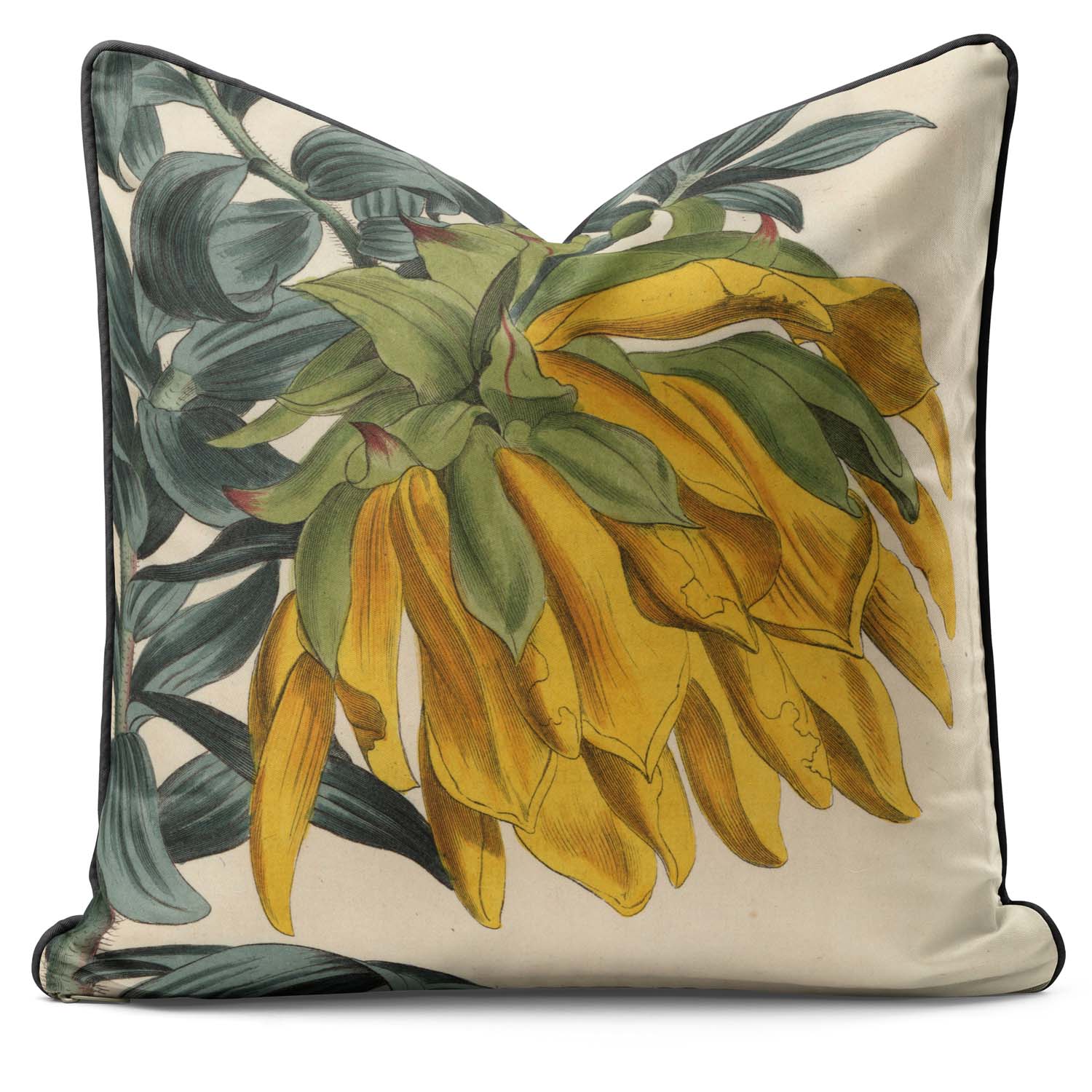 Mountain Dahlia - Botanical Outdoor Cushion