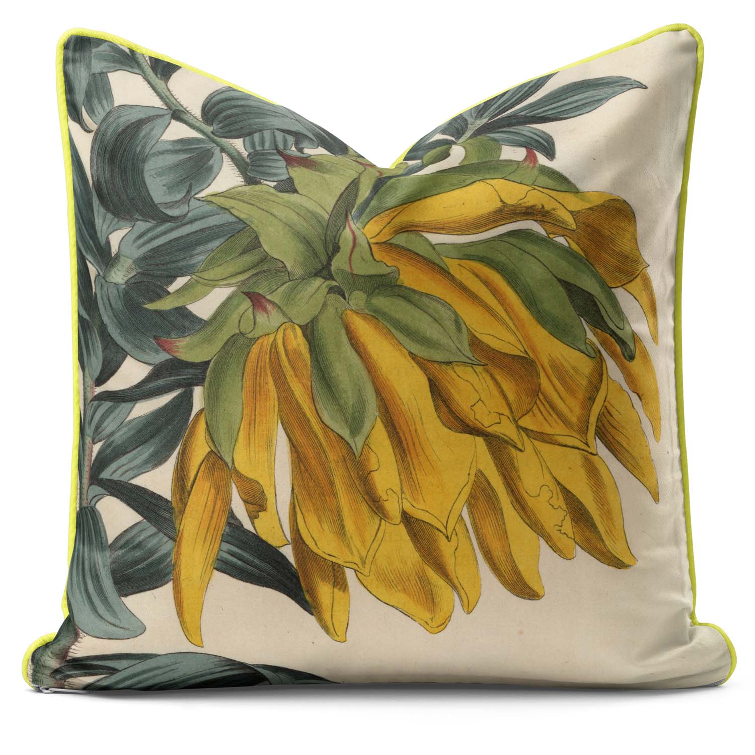 Mountain Dahlia - Botanical Cushion