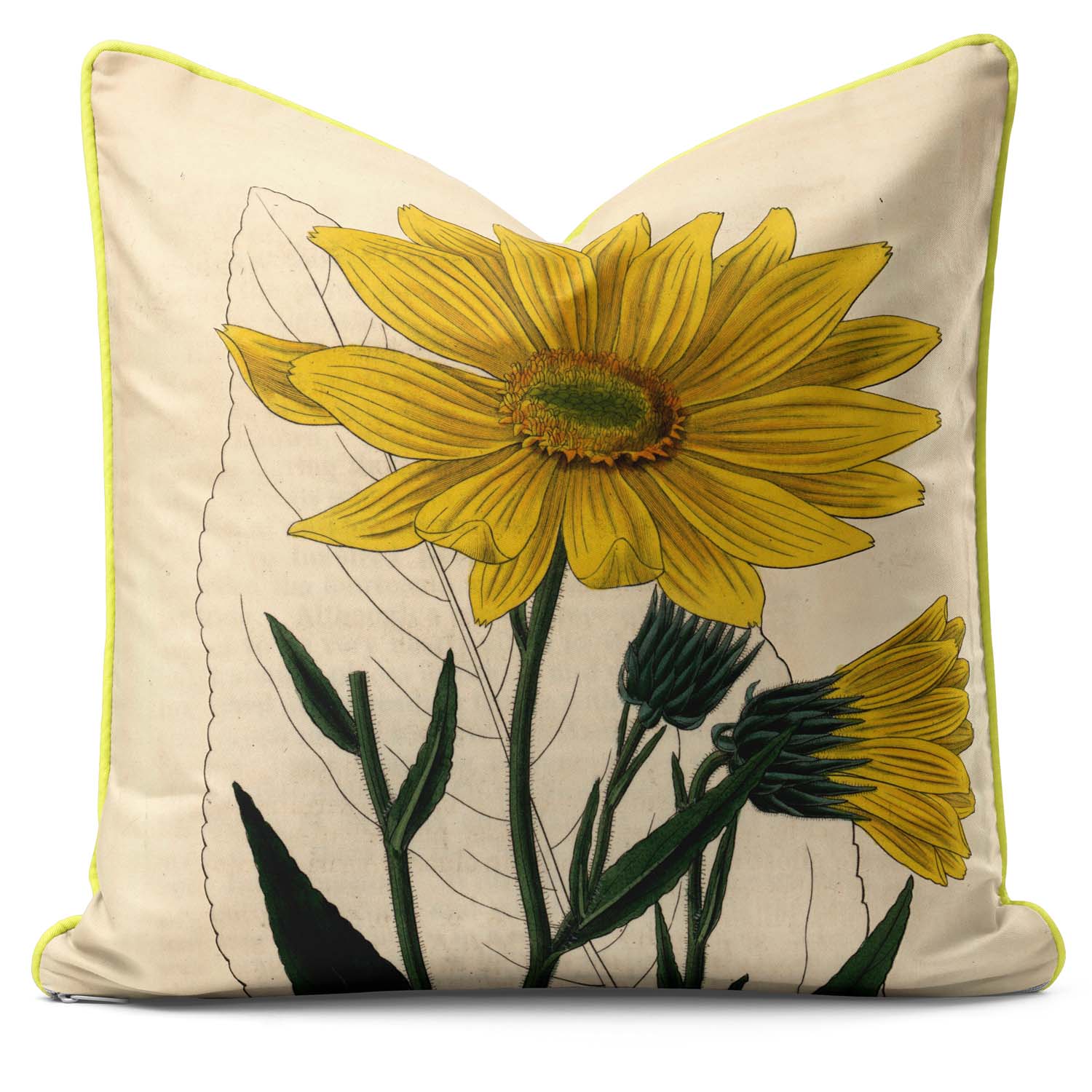 Helianthus - Botanical Cushion