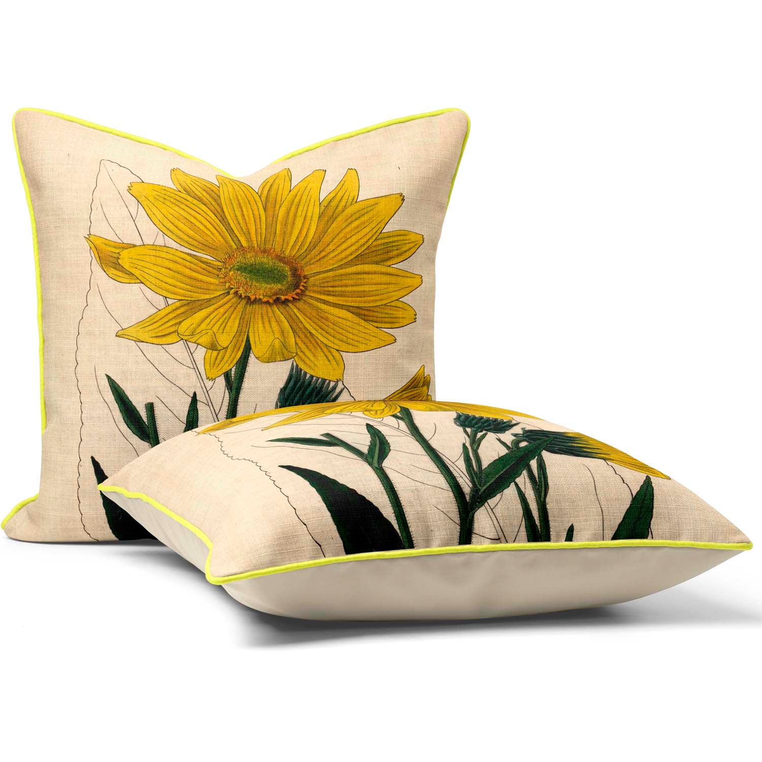 Helianthus - Botanical Cushion