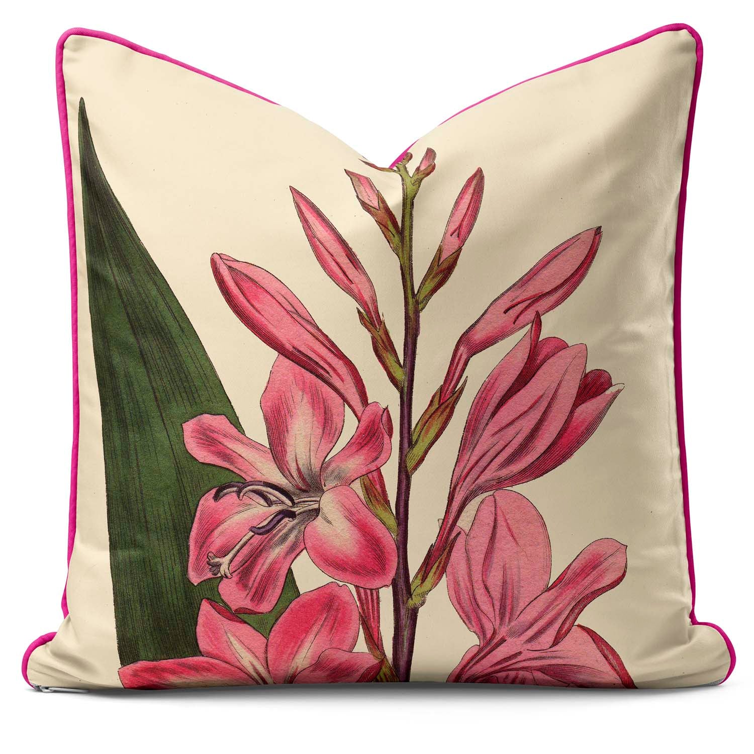 Gladiolus - Botanical Cushion