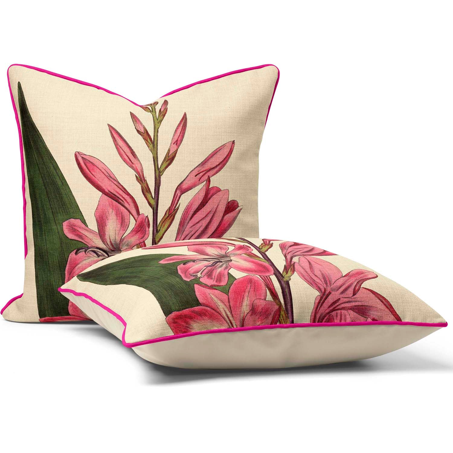Gladiolus - Botanical Cushion