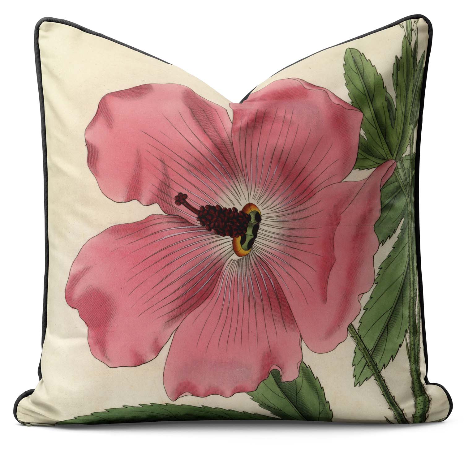 Hibiscus - Botanical Outdoor Cushion