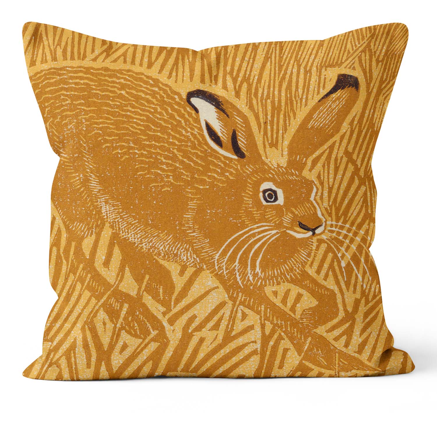 Stubble Hare - Robert Gillmor Cushion