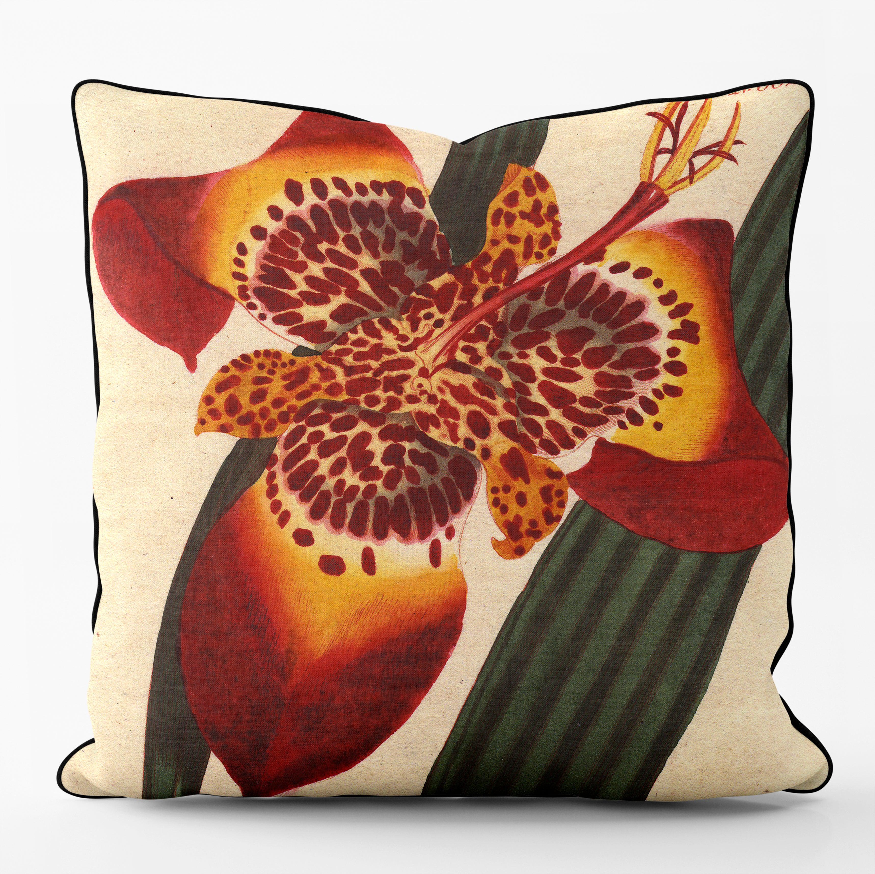 Mexican Iris - Botanical Outdoor Cushion