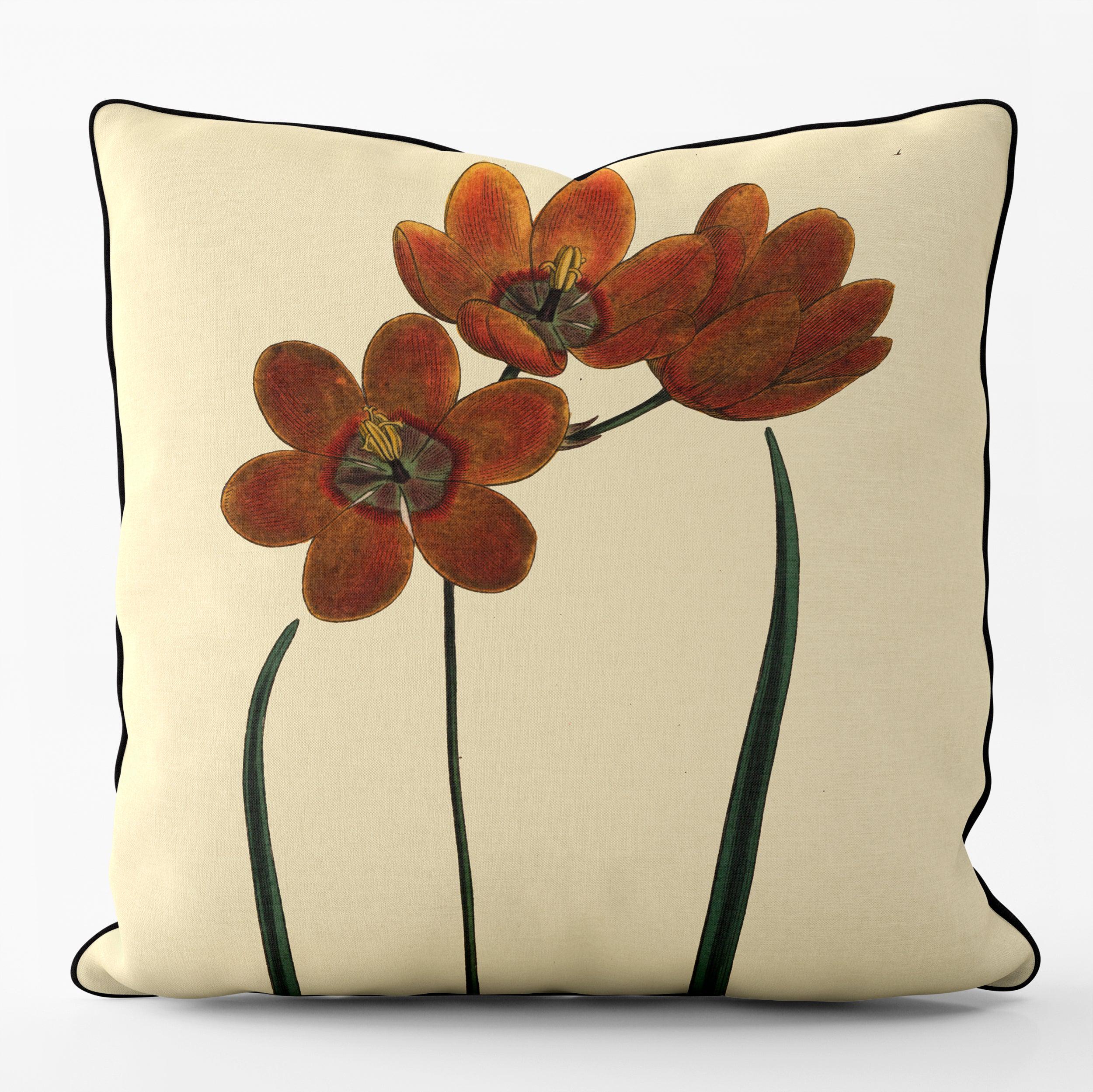 Orange Monadelpha - Botanical Outdoor Cushion