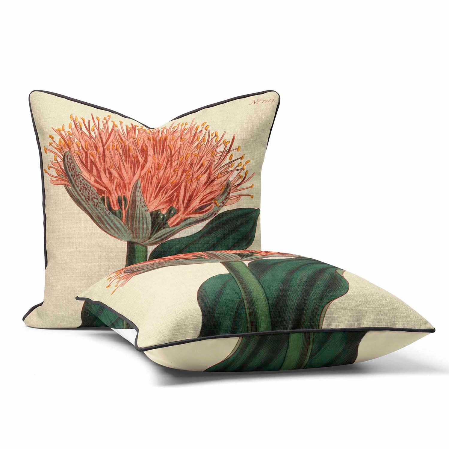 Paintbrush Lily - Botanical Outdoor Cushion