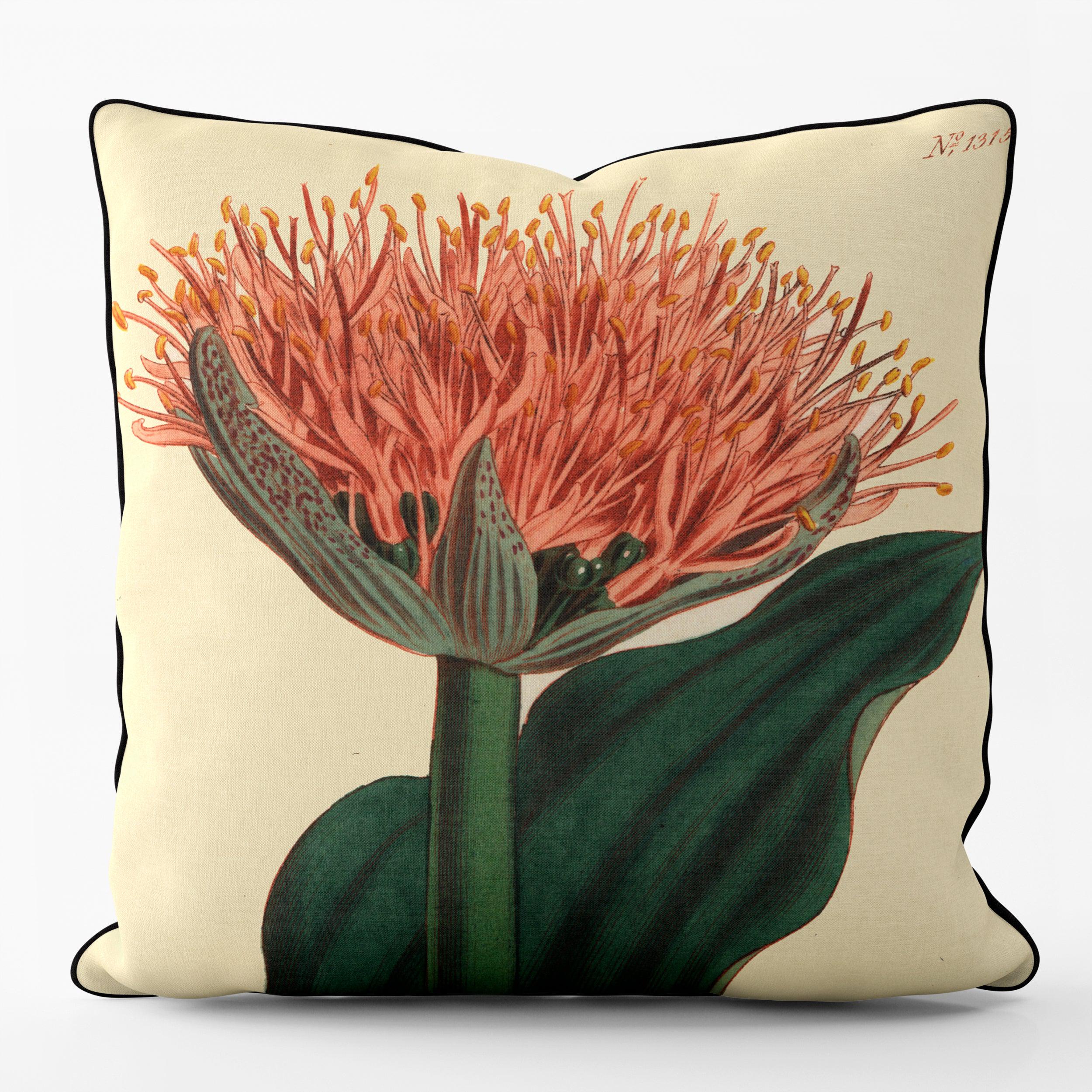 Paintbrush Lily - Botanical Outdoor Cushion