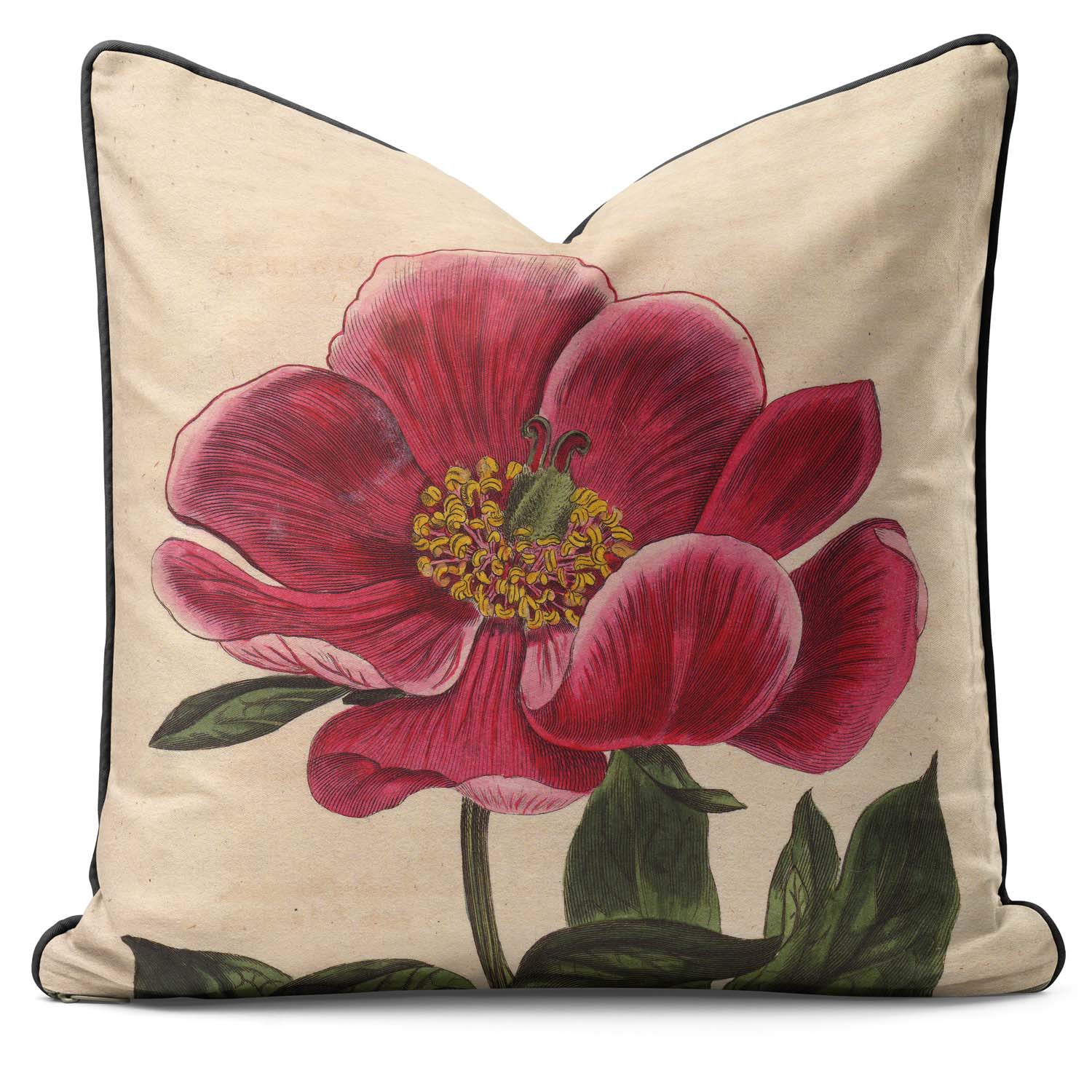 Peony - Botanical Outdoor Cushion