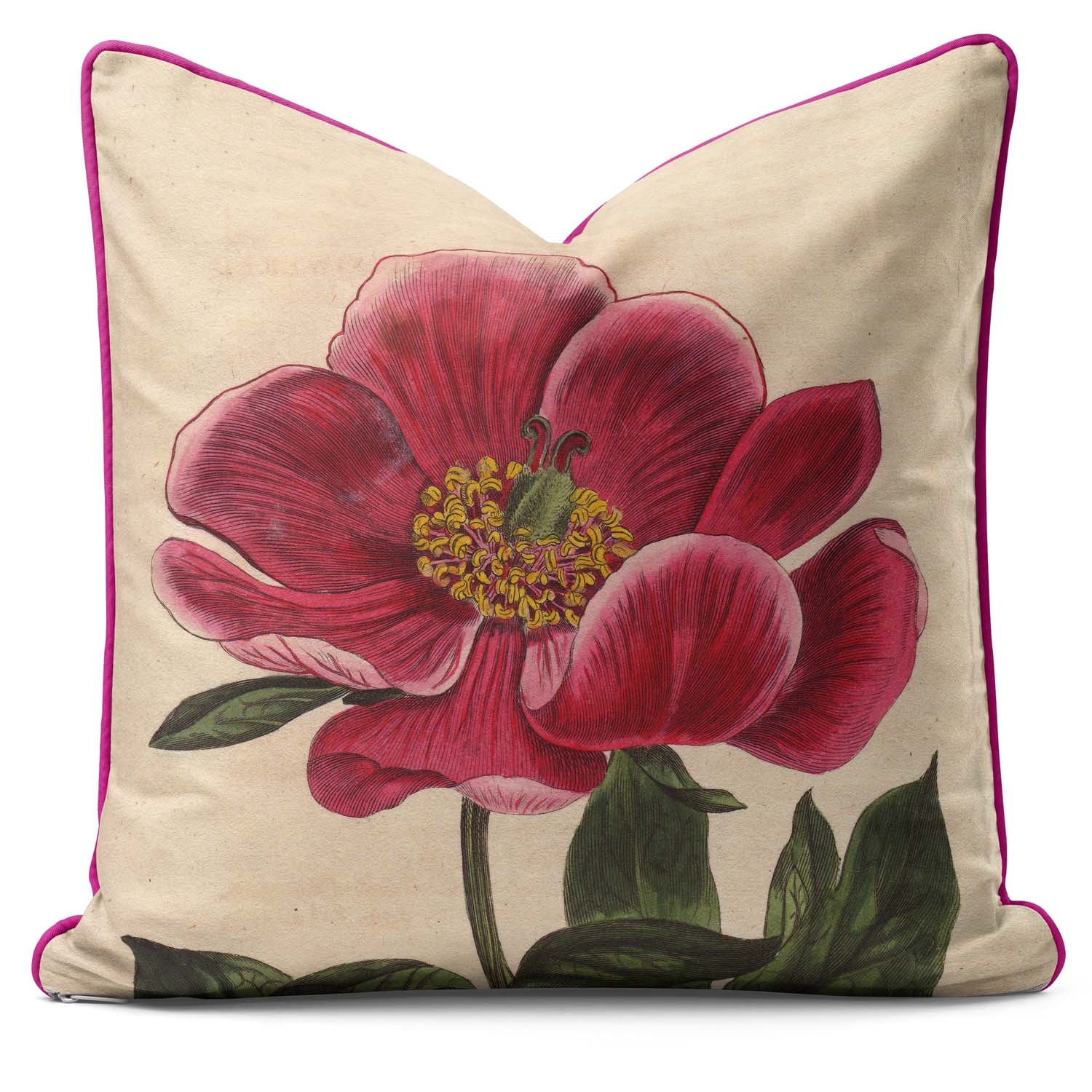 Peony - Botanical Cushion
