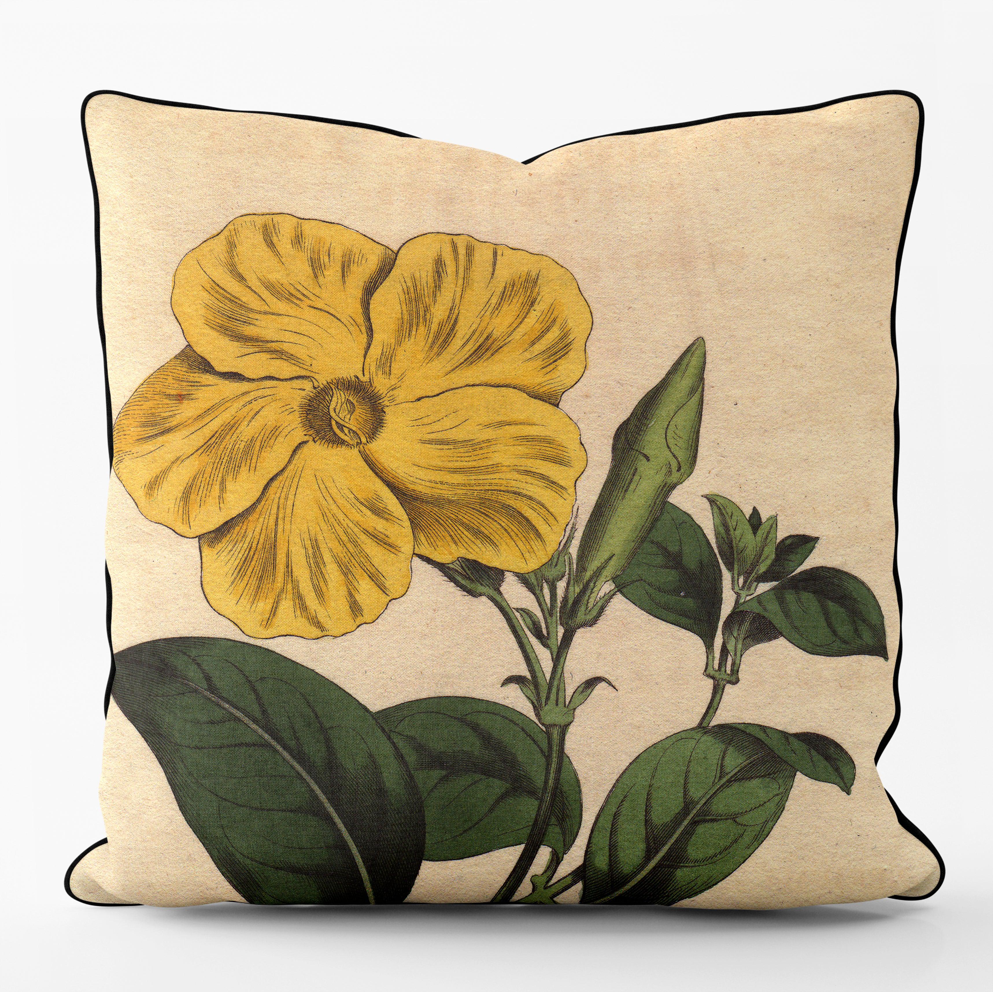 Savanna - Botanical Outdoor Cushion
