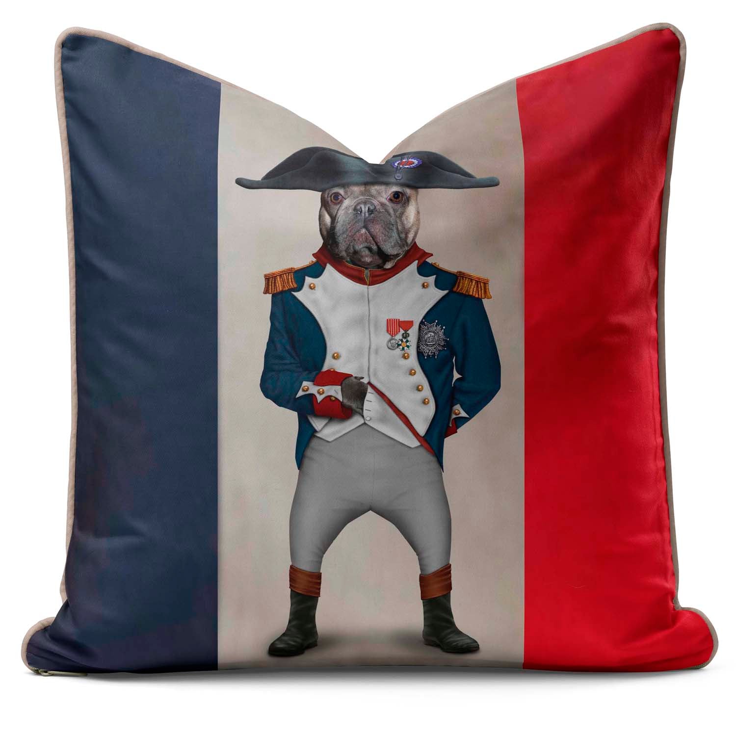 Napoleon Flag -  Pets Rock Cushion