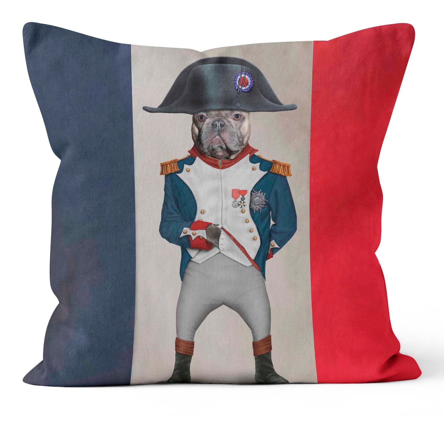 Napoleon Flag -  Pets Rock Cushion