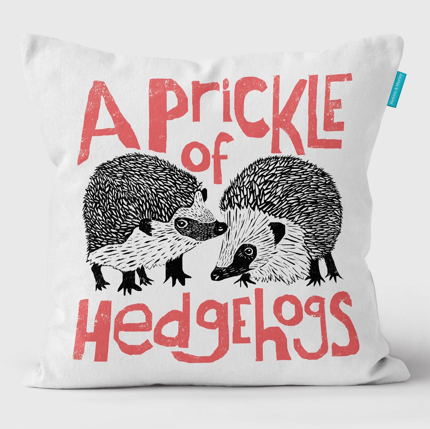 Prickle of Hedgehog - Collective Noun Cushion