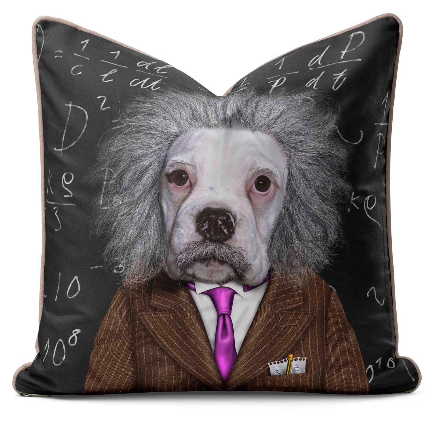 Brain - Pets Rock Cushion