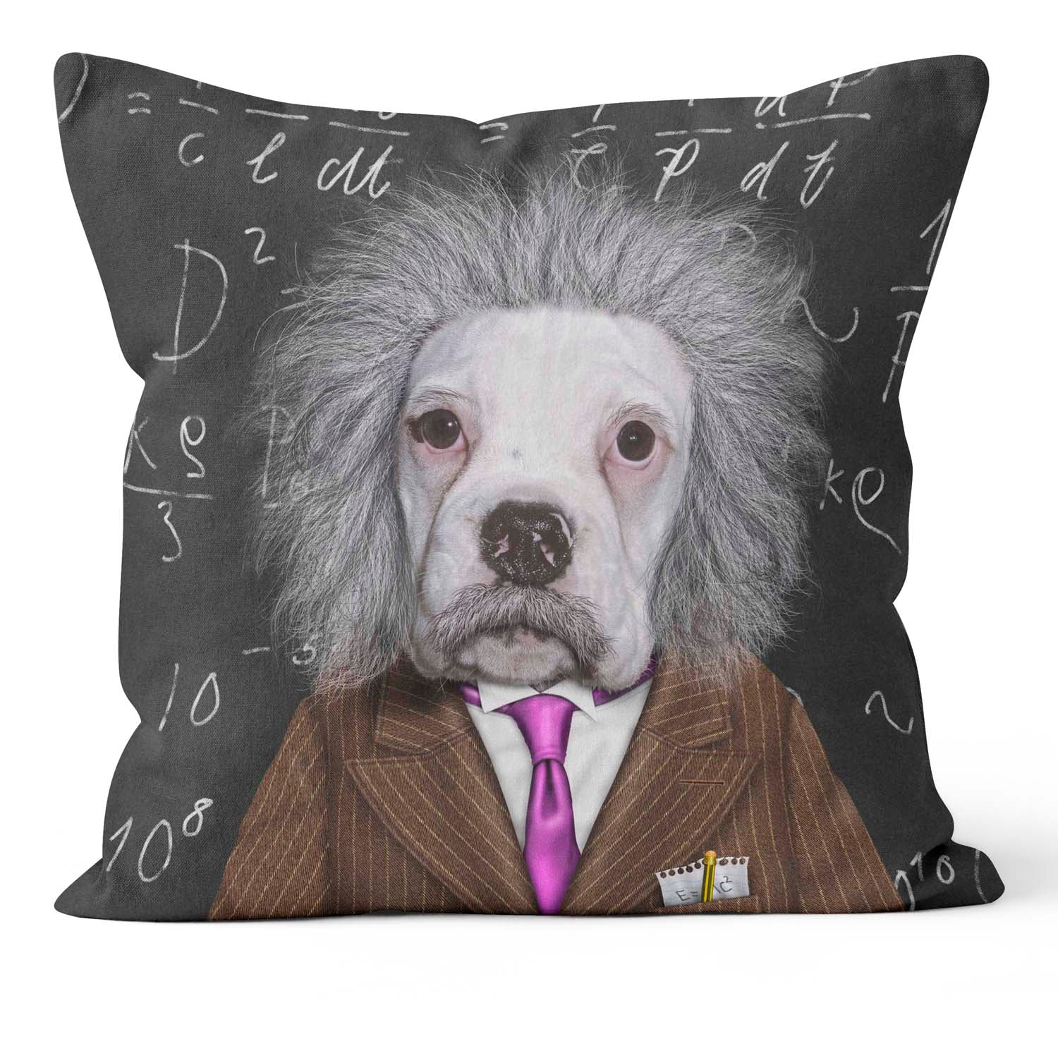 Brain - Pets Rock Cushion