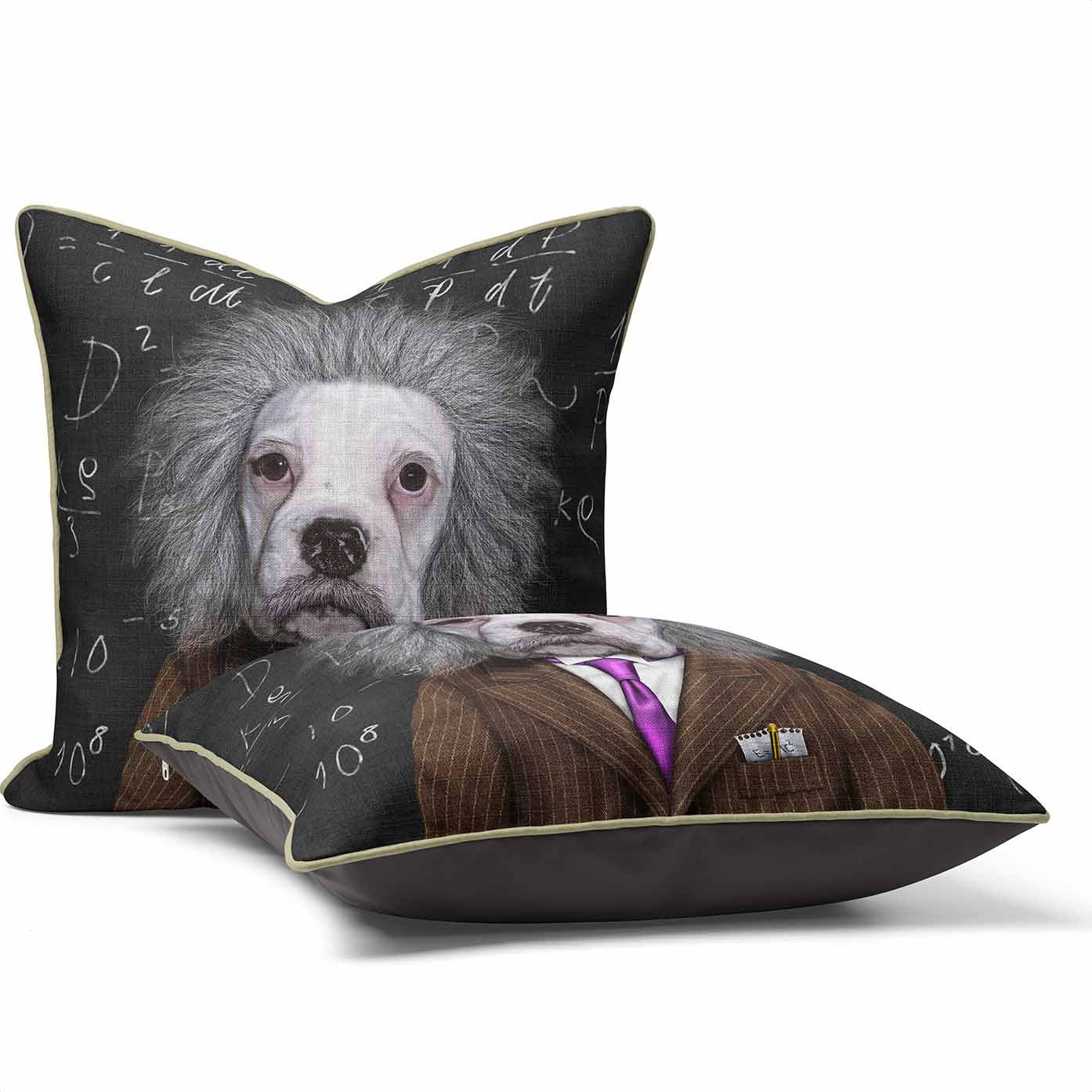 Brain - Pets Rock Cushion