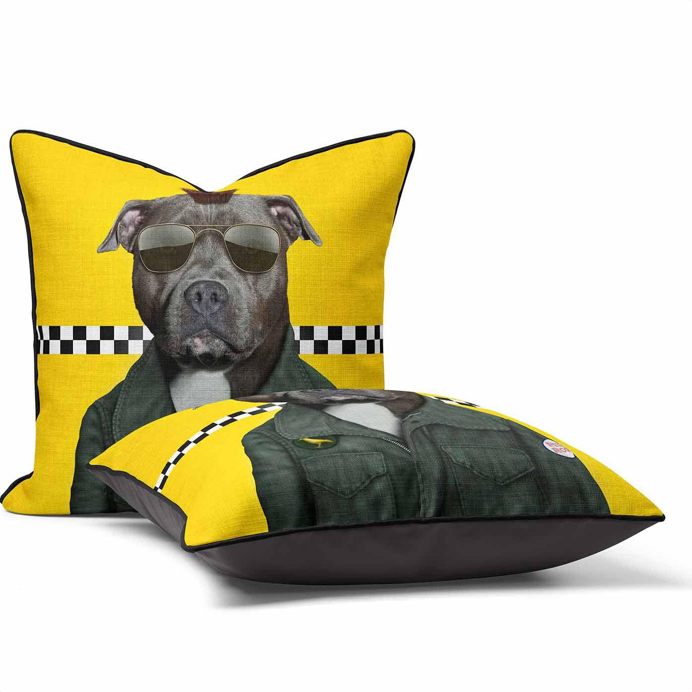 Cabbie - Pets Rock Cushion