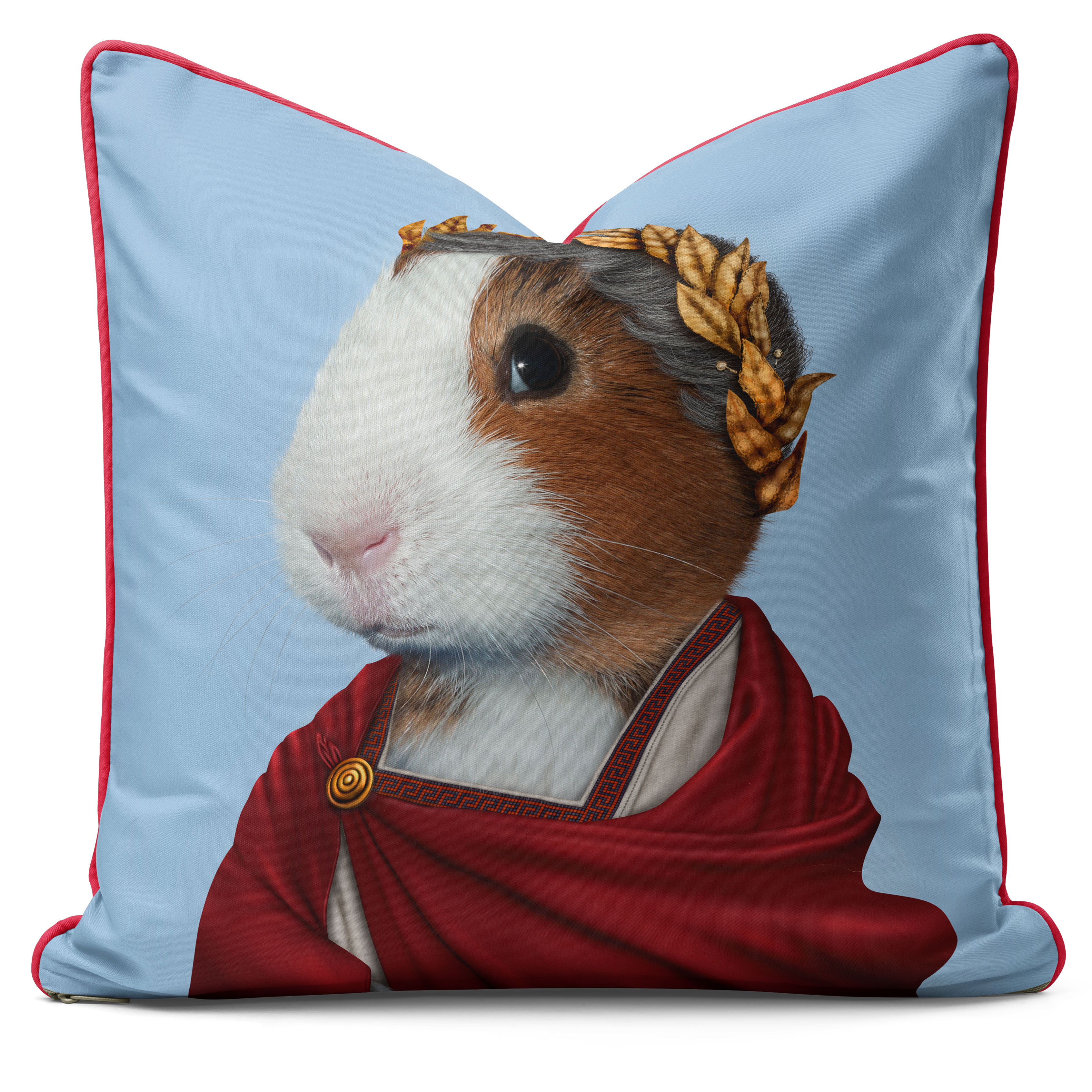 Caesar - Pets Rock Cushion