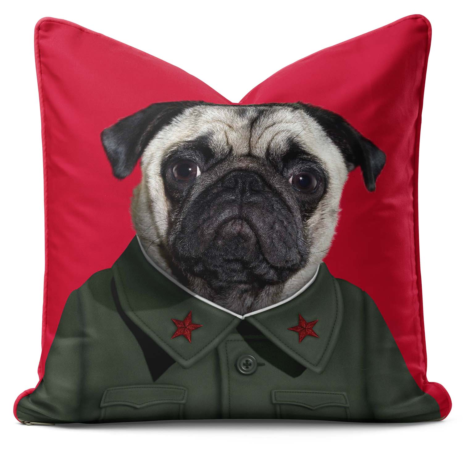 China - Pets Rock Cushion