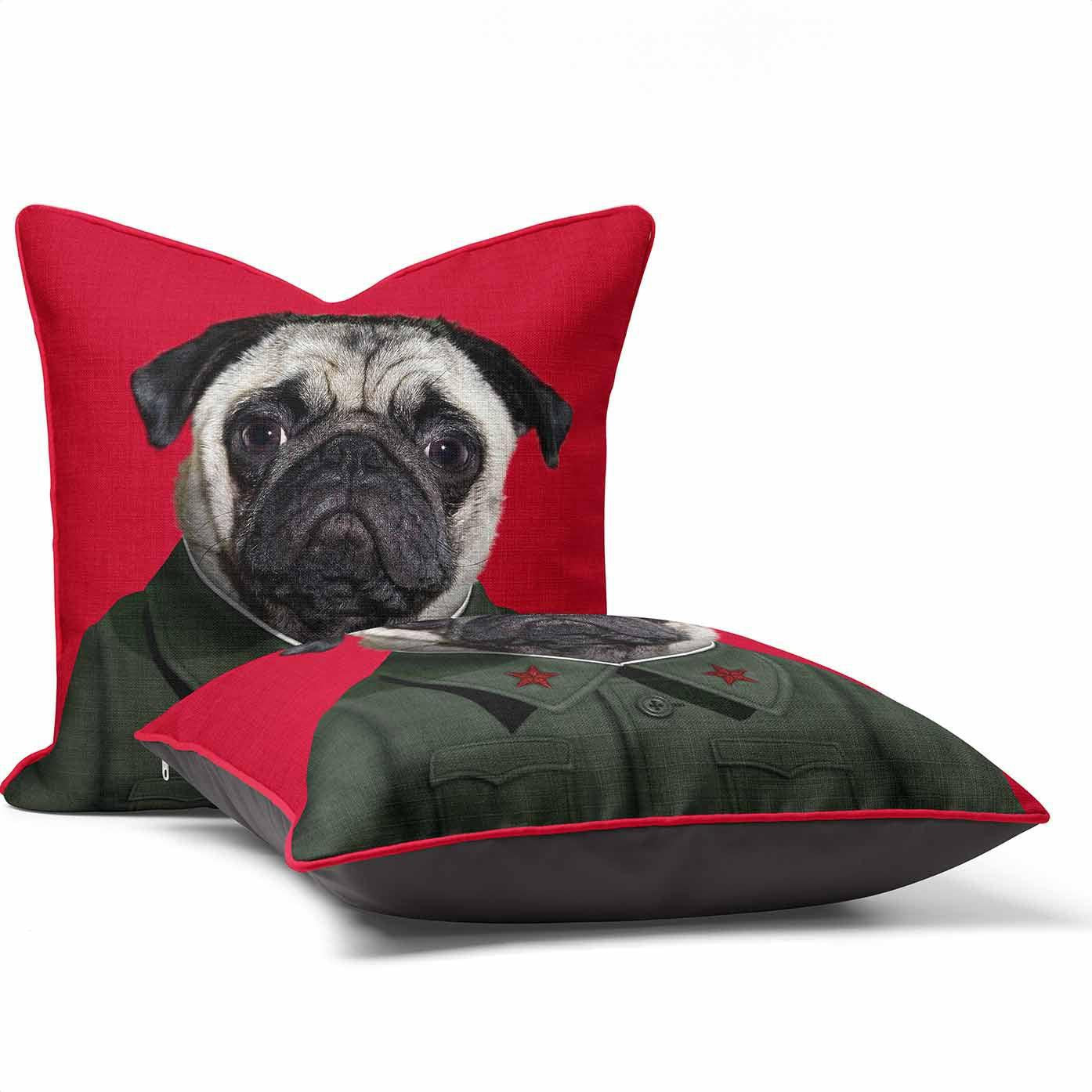 China - Pets Rock Cushion