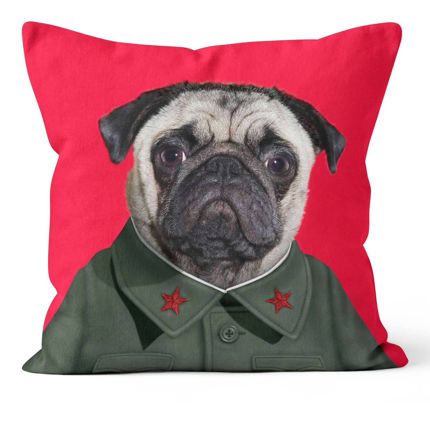 China - Pets Rock Cushion