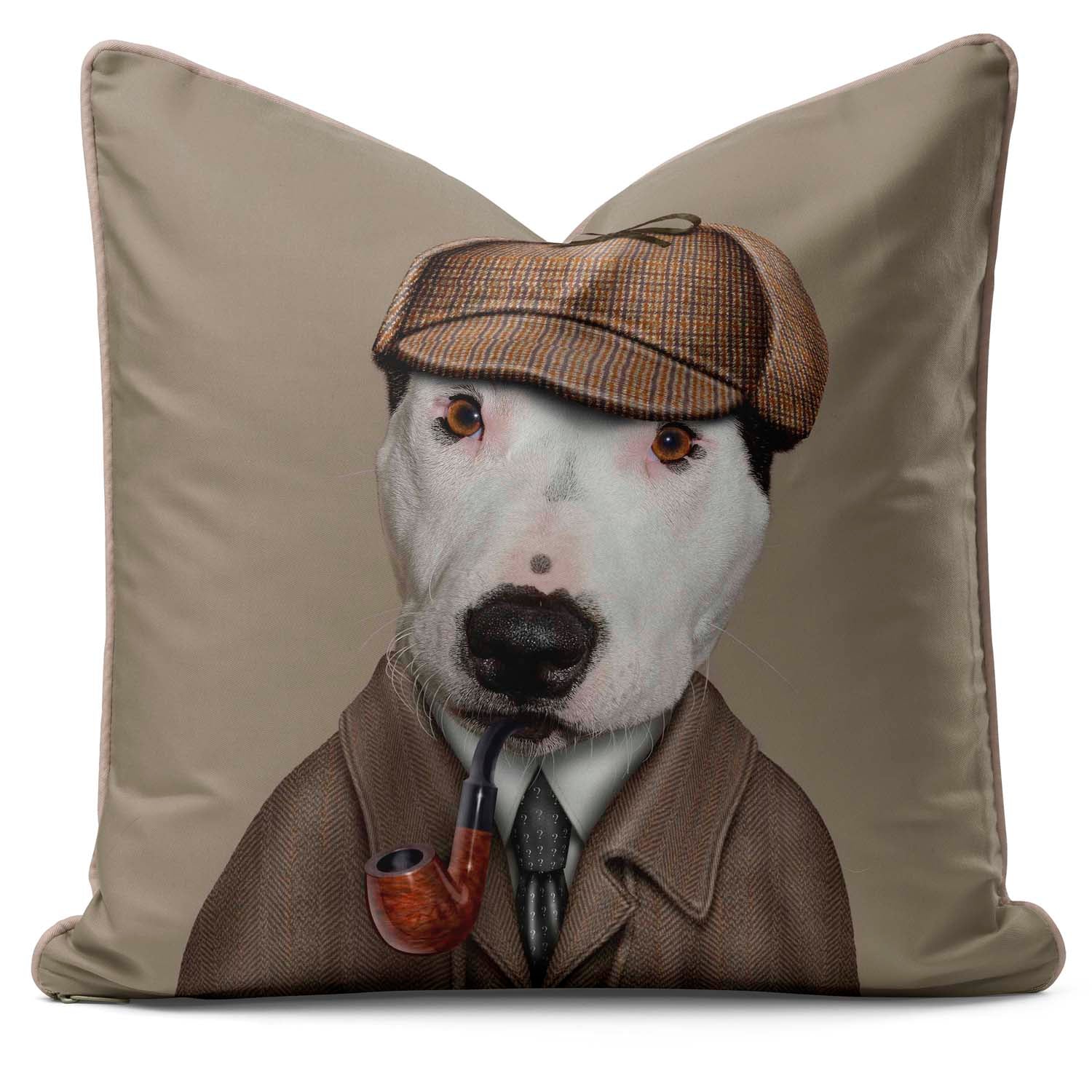 Detective - Pets Rock Cushion