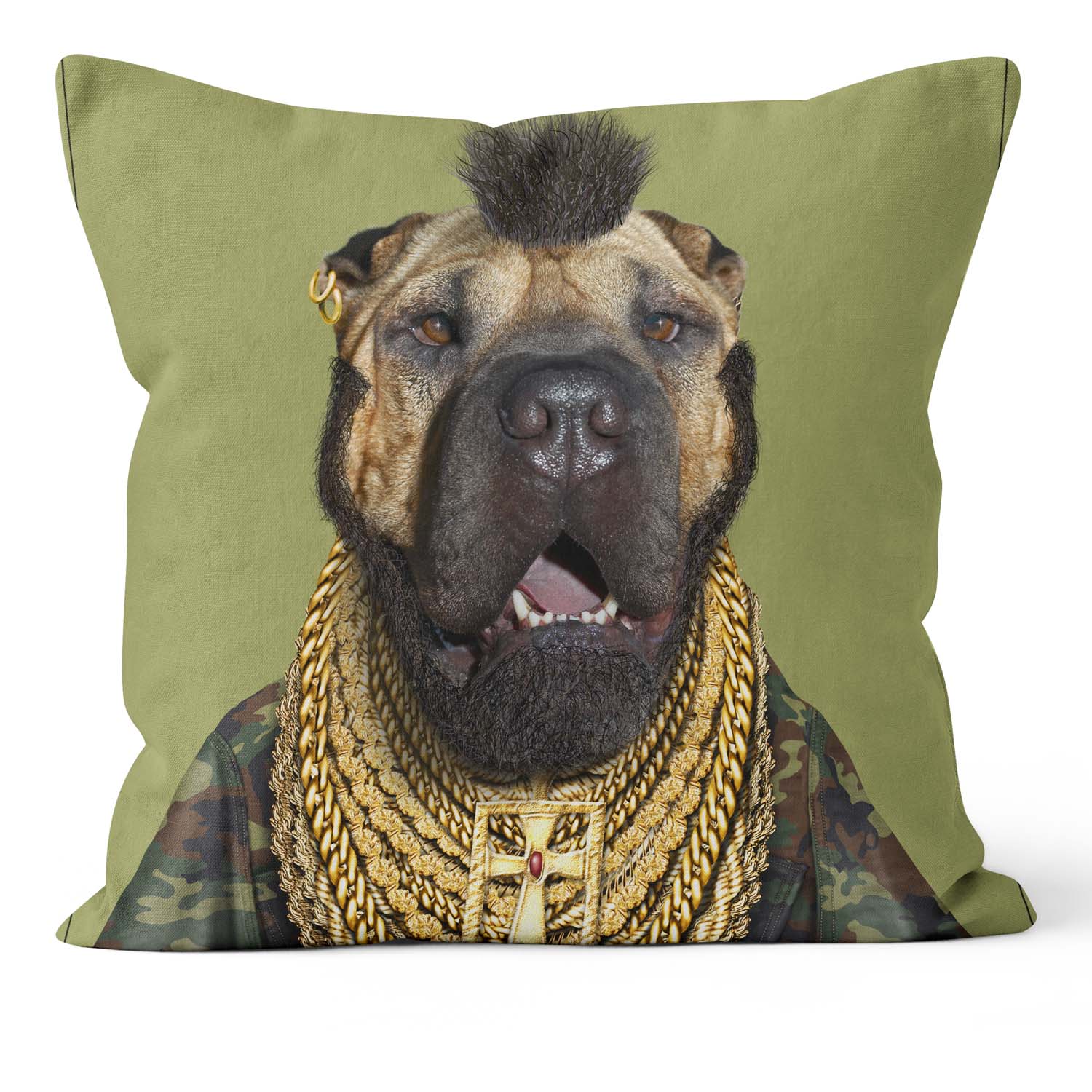 Fool - Pets Rock Cushion