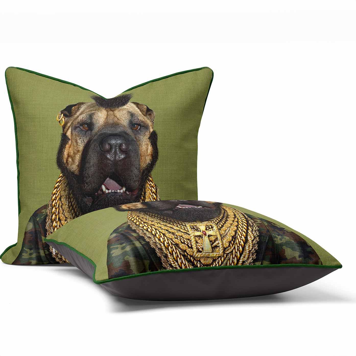 Fool - Pets Rock Cushion