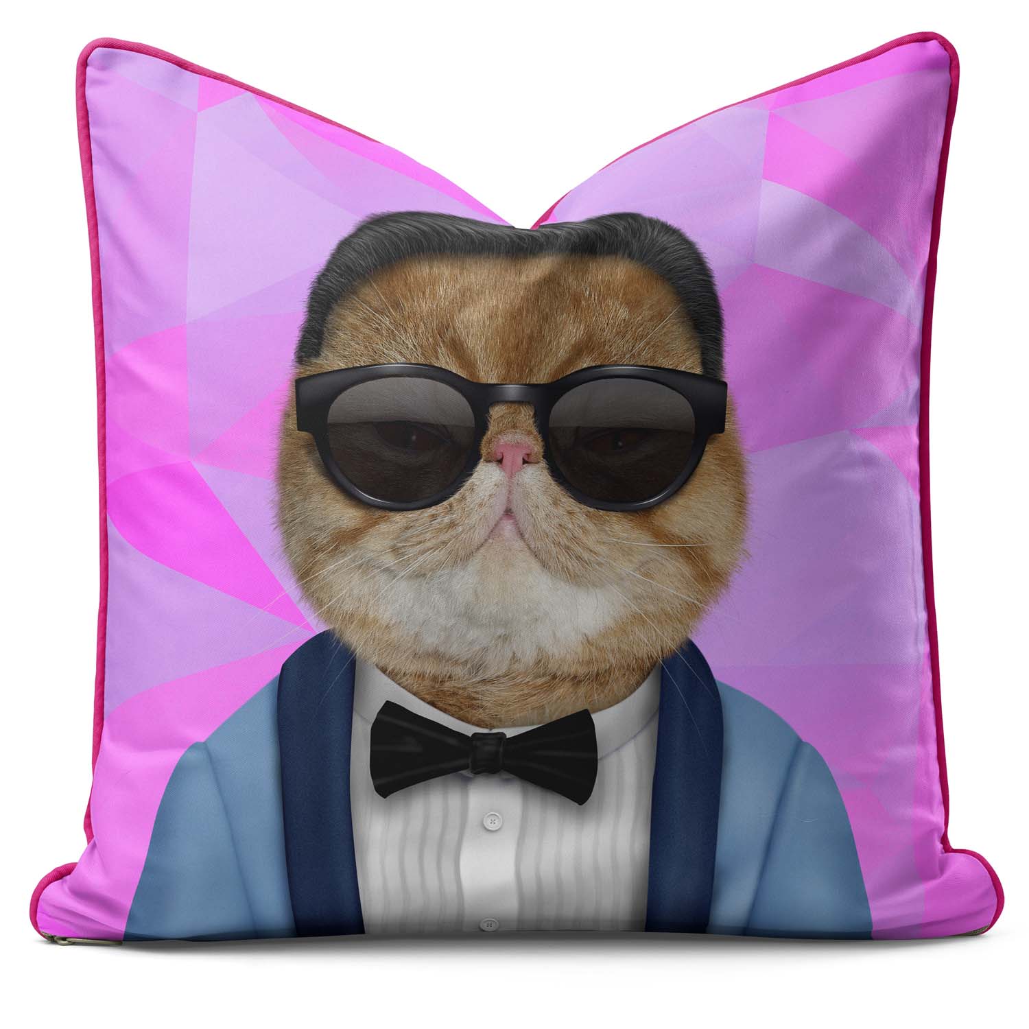 Korea Geometric - Pets Rock Cushion