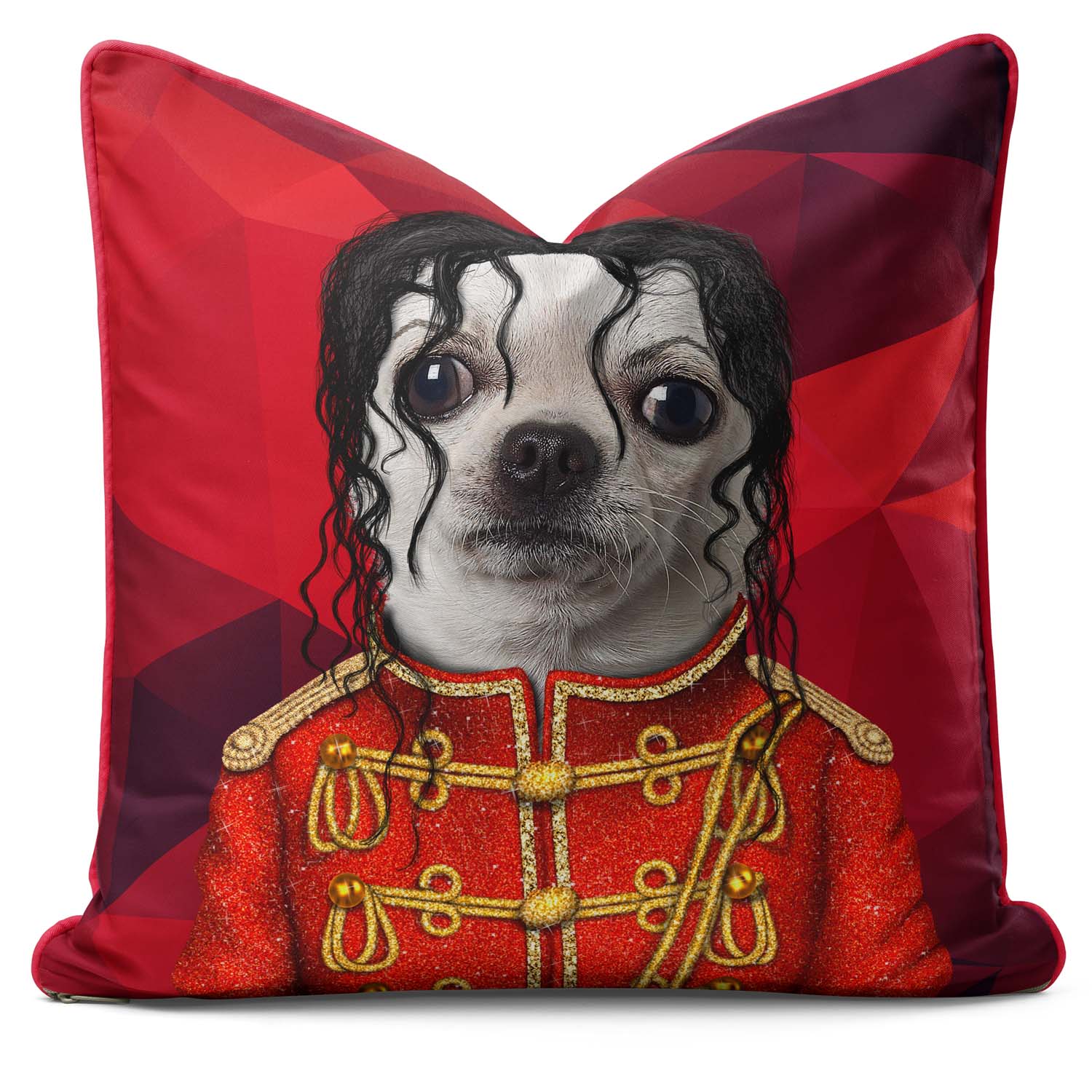 Pop Geometric - Pets Rock Cushion