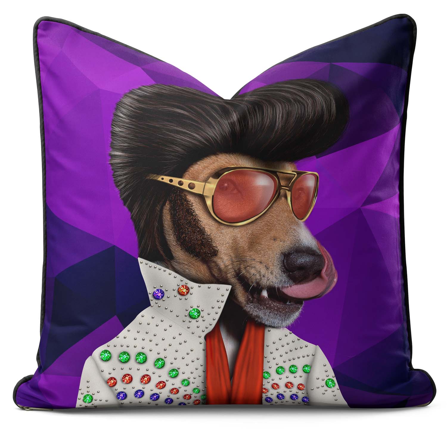 Vegas Geometric - Pets Rock Cushion