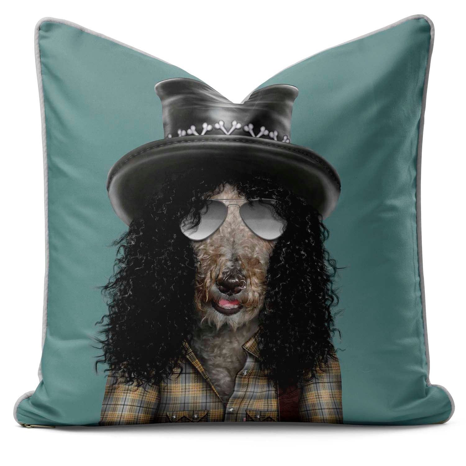 Gnash - Pets Rock Cushion